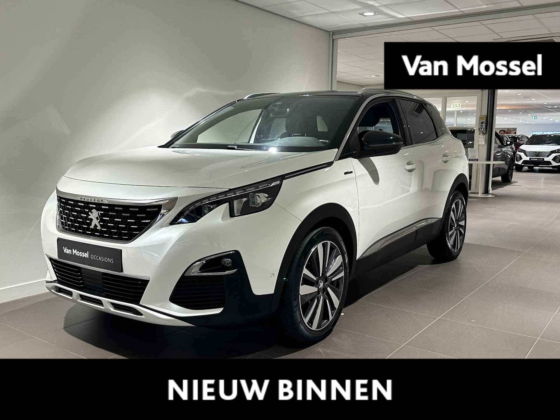 Peugeot 3008 BOVAG 40-Puntencheck