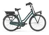 GAZELLE HeavyDutyNL C7+ Dames Thyme Green Glans 59cm 2024