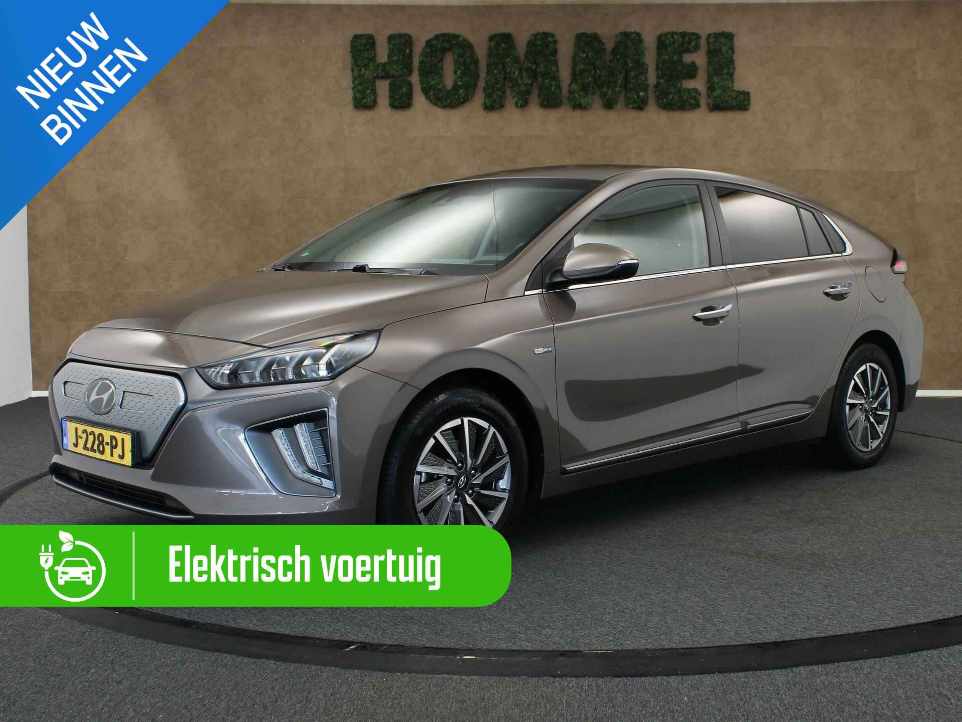 Hyundai Ioniq BOVAG 40-Puntencheck