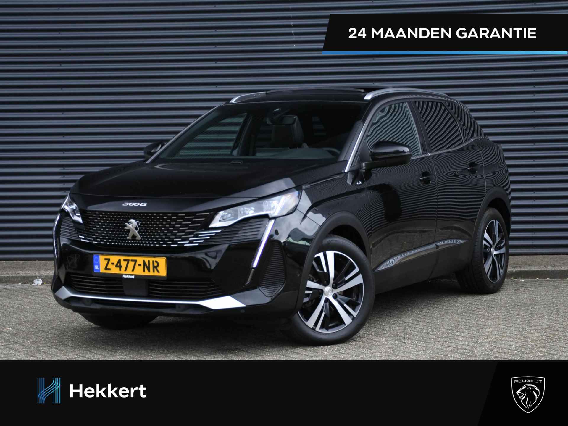 Peugeot 3008 BOVAG 40-Puntencheck