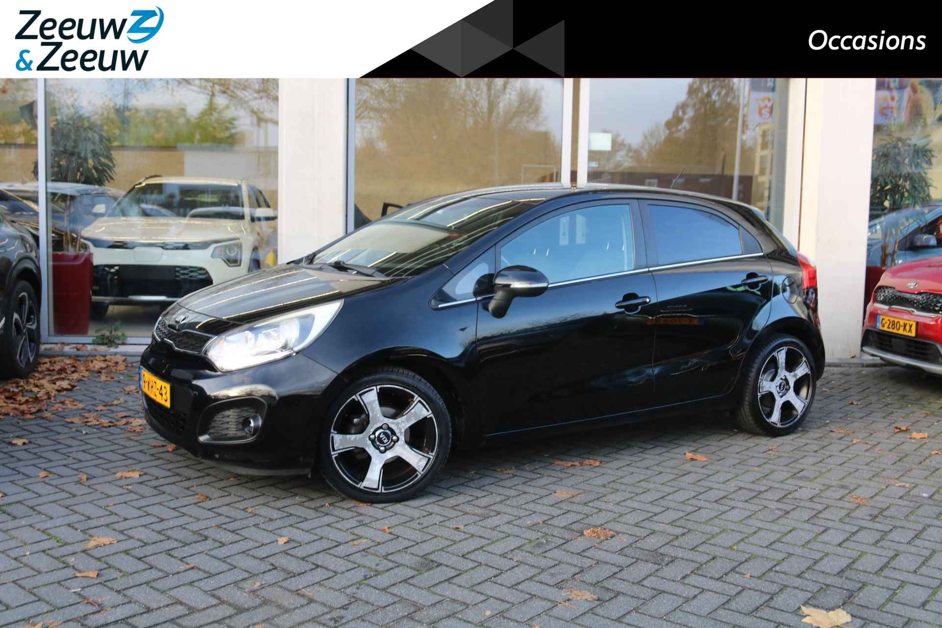 Kia Rio BOVAG 40-Puntencheck