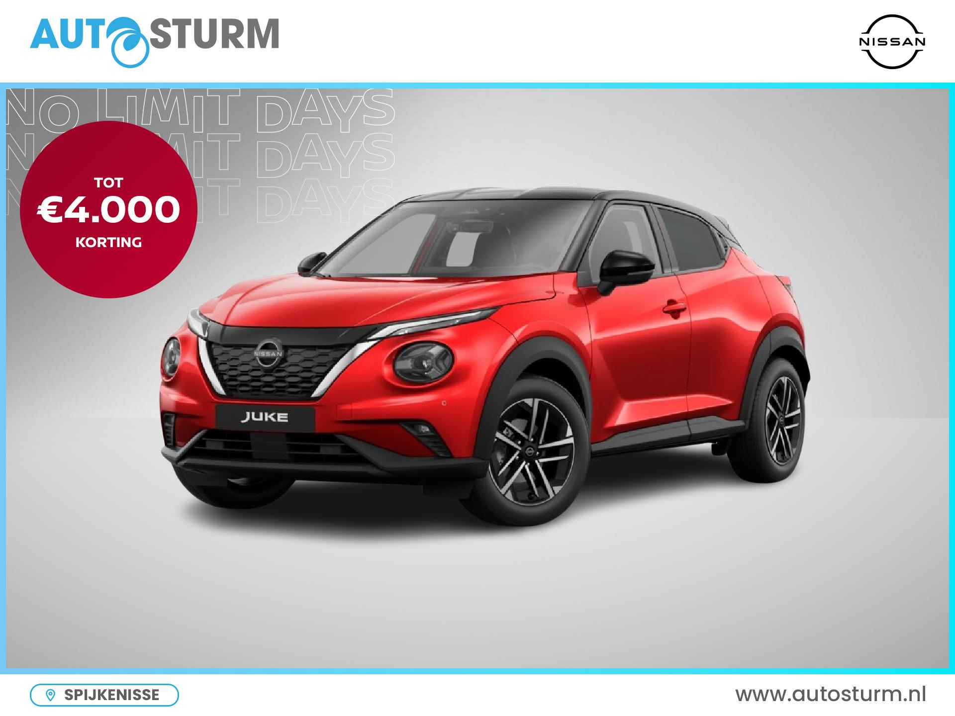 Nissan Juke BOVAG 40-Puntencheck