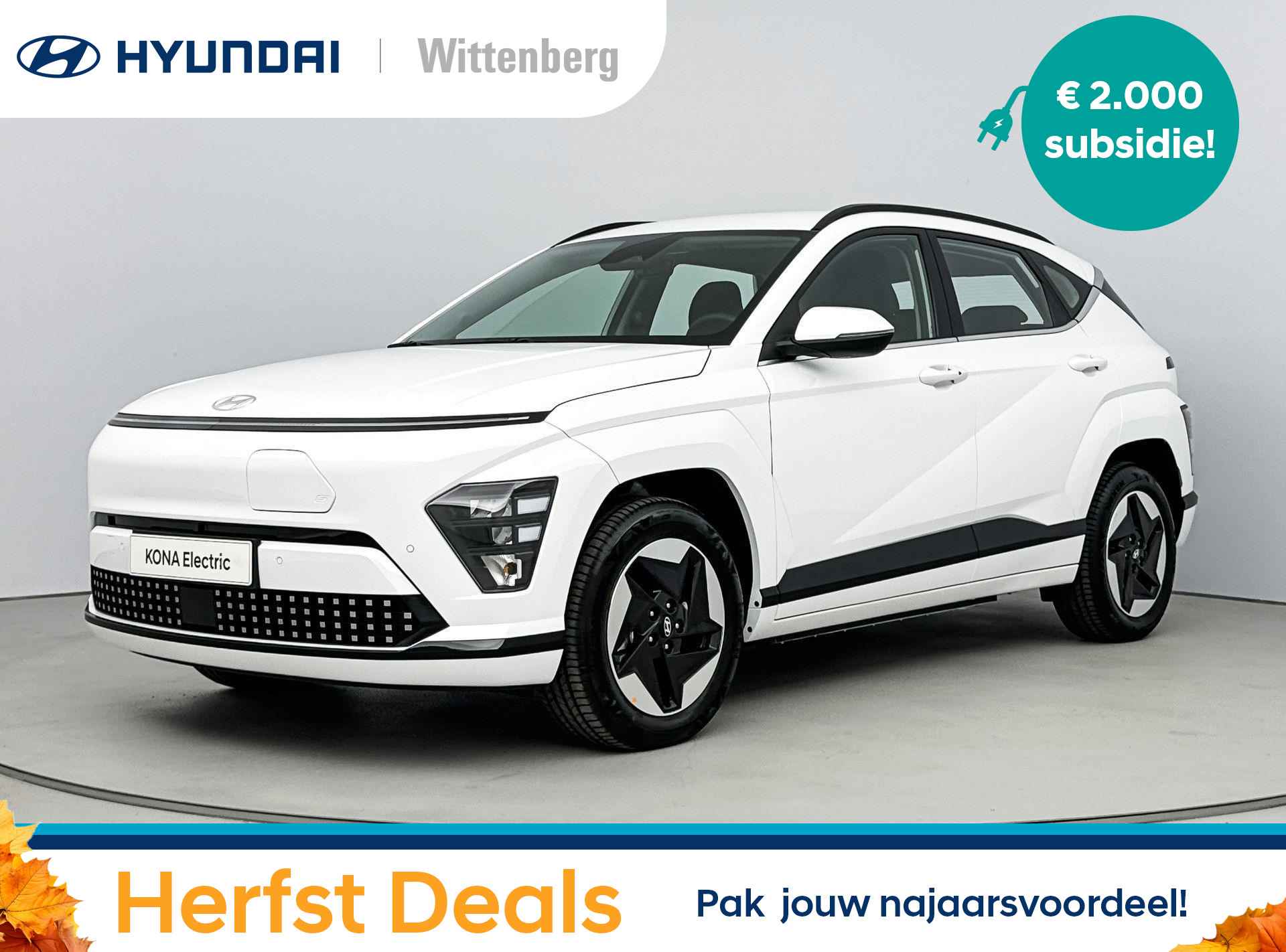 Hyundai Kona BOVAG 40-Puntencheck