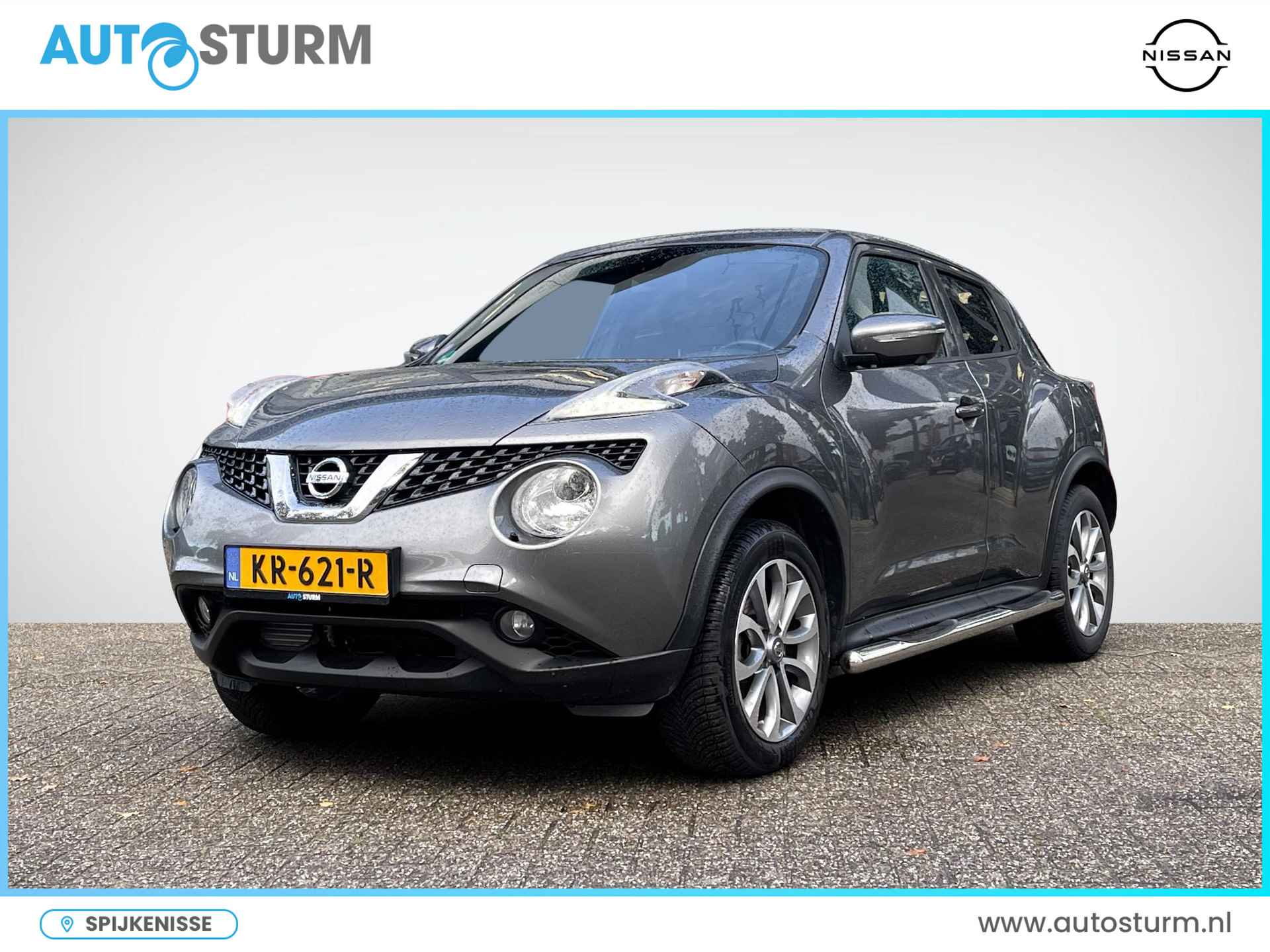 Nissan Juke BOVAG 40-Puntencheck