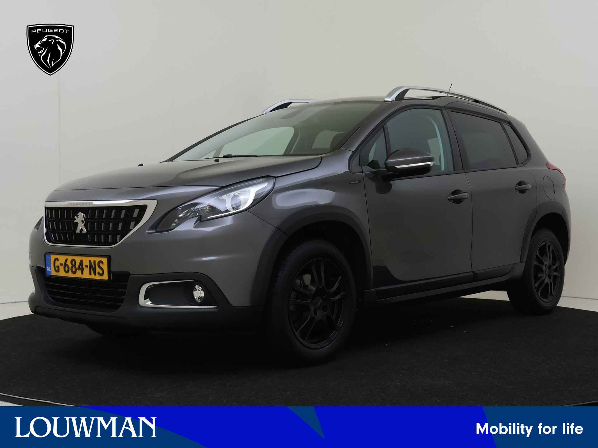 Peugeot 2008 BOVAG 40-Puntencheck