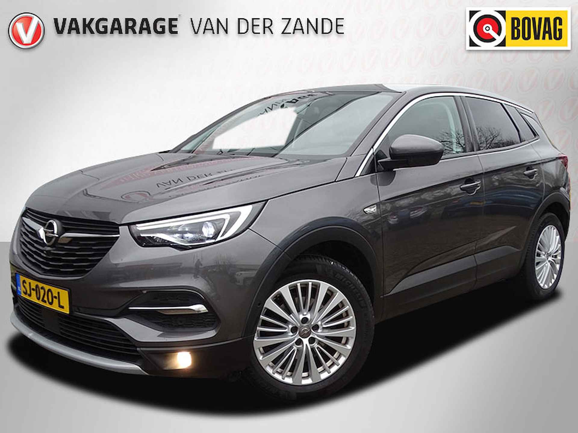 Opel Grandland X BOVAG 40-Puntencheck