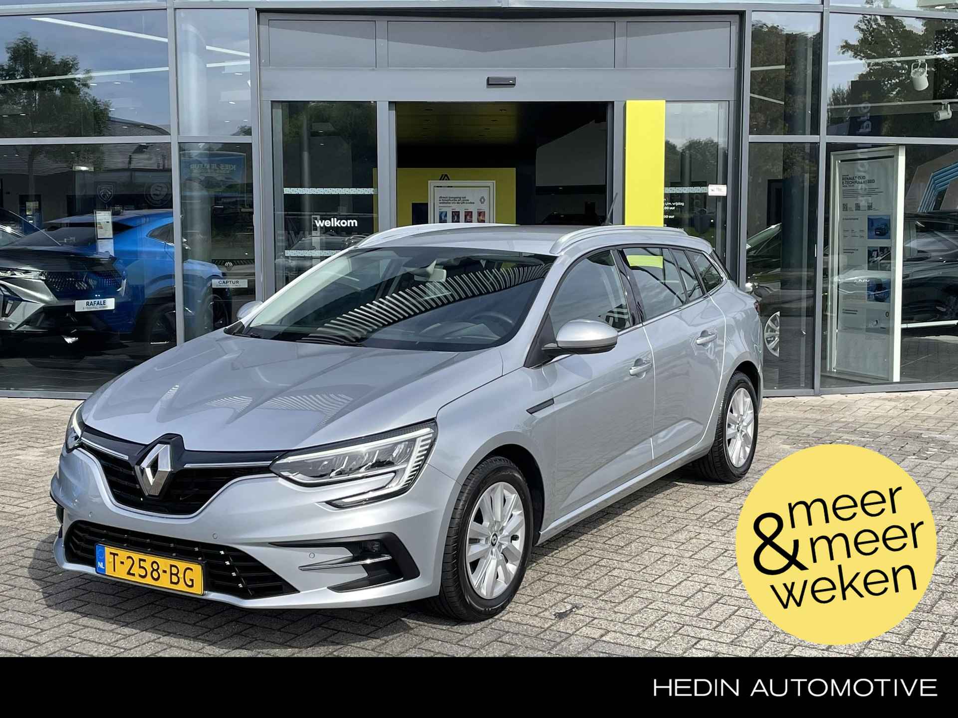 Renault Megane BOVAG 40-Puntencheck