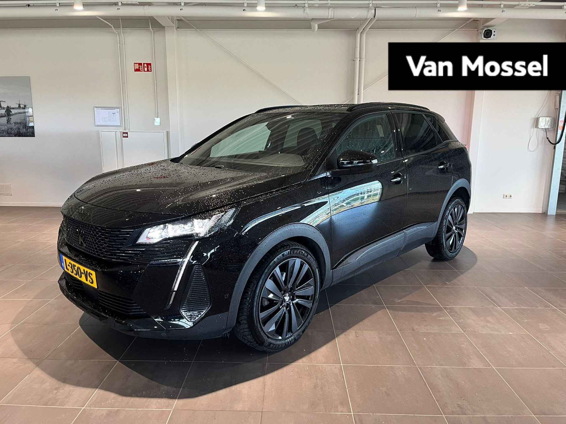 Peugeot 3008 BOVAG 40-Puntencheck