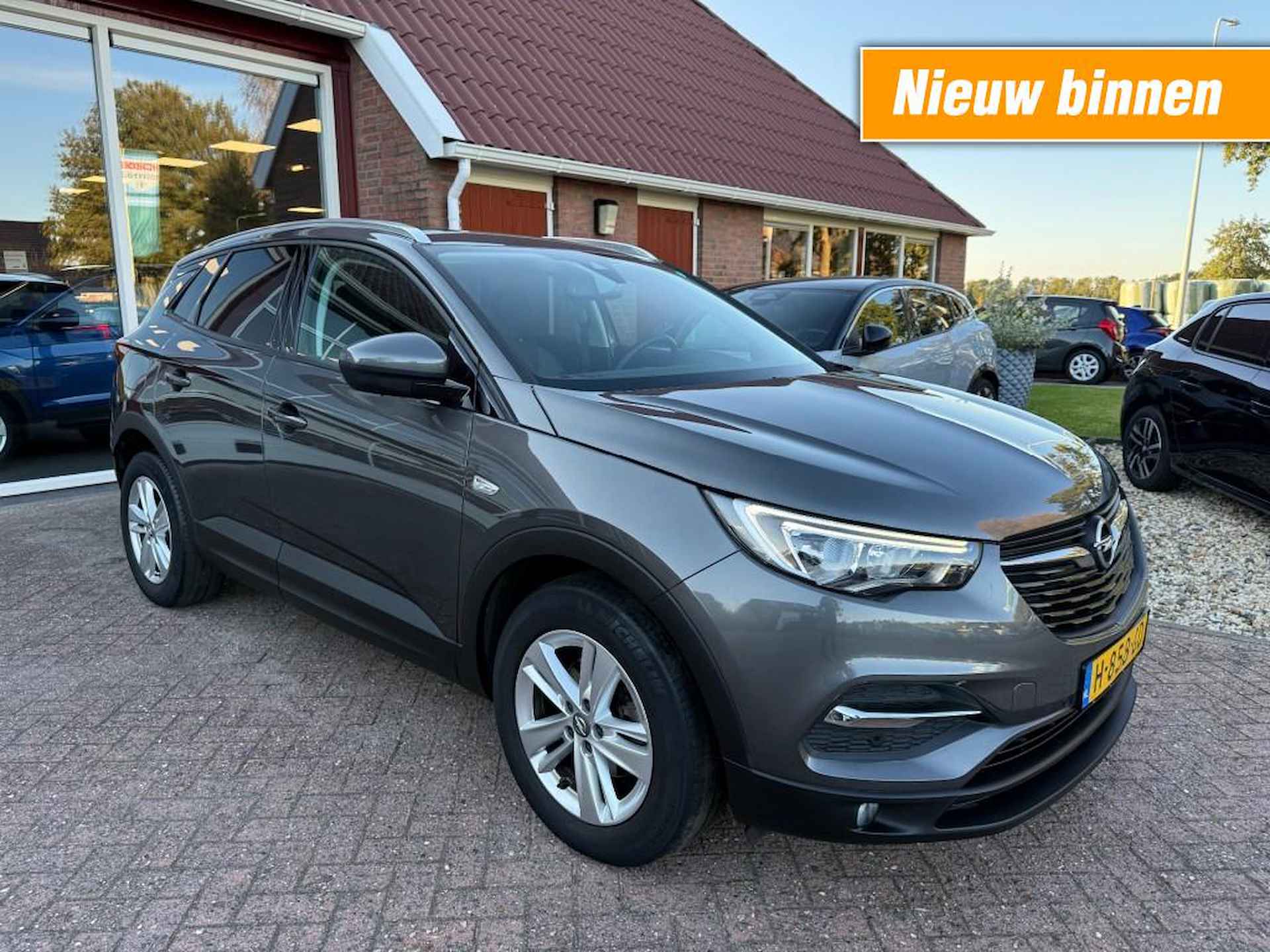 Opel Grandland X BOVAG 40-Puntencheck