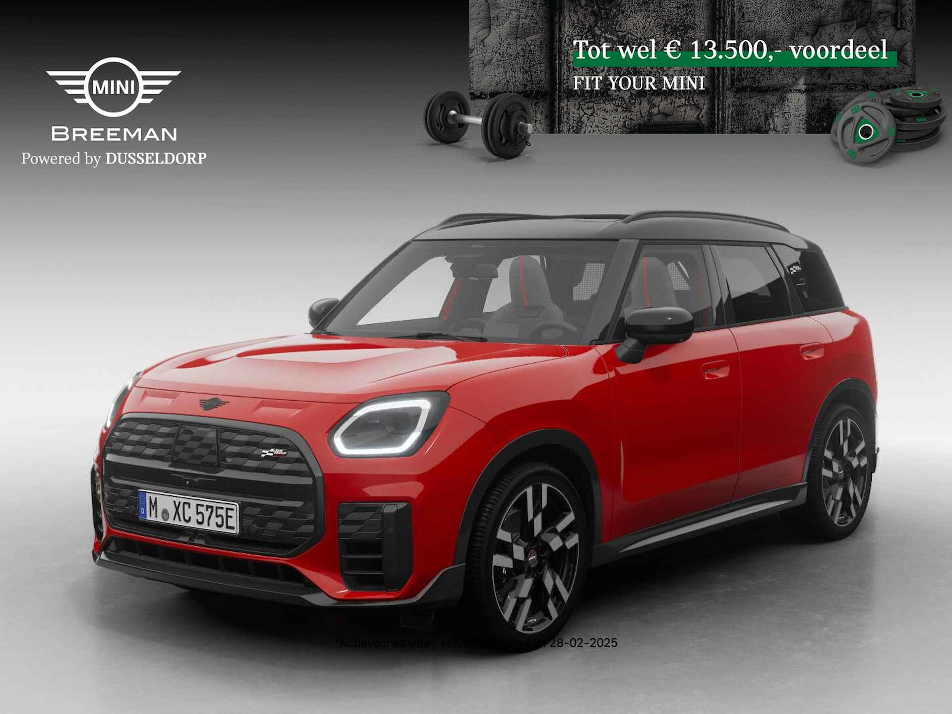 Mini Countryman