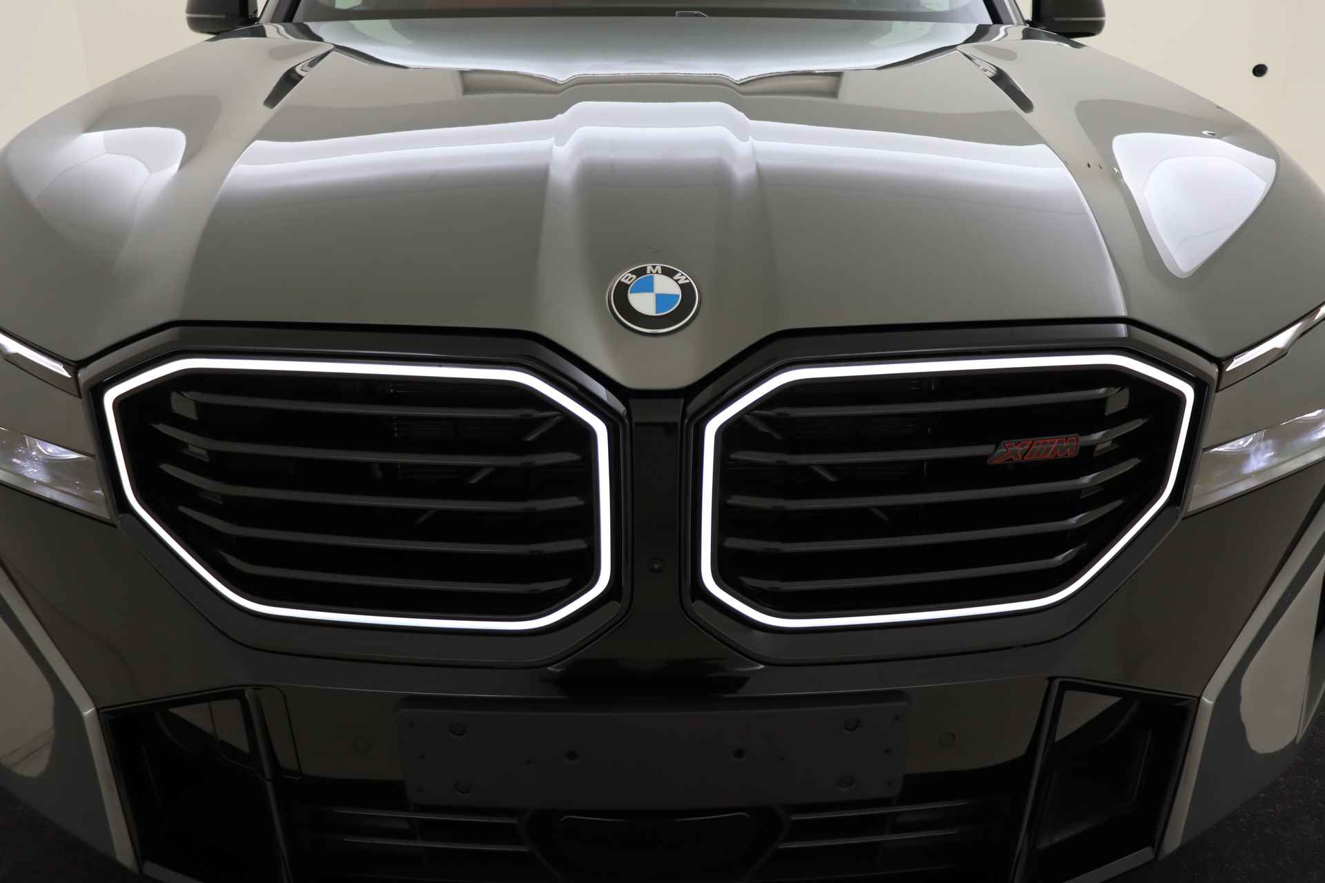 BMW XM PHEV Label Red 29 kWh Automaat / Massagefunctie / Adaptief M Onderstel Professional / Bowers & Wilkins / Trekhaak / Soft-Close / Stoelventilatie / Gesture Control - 73/89