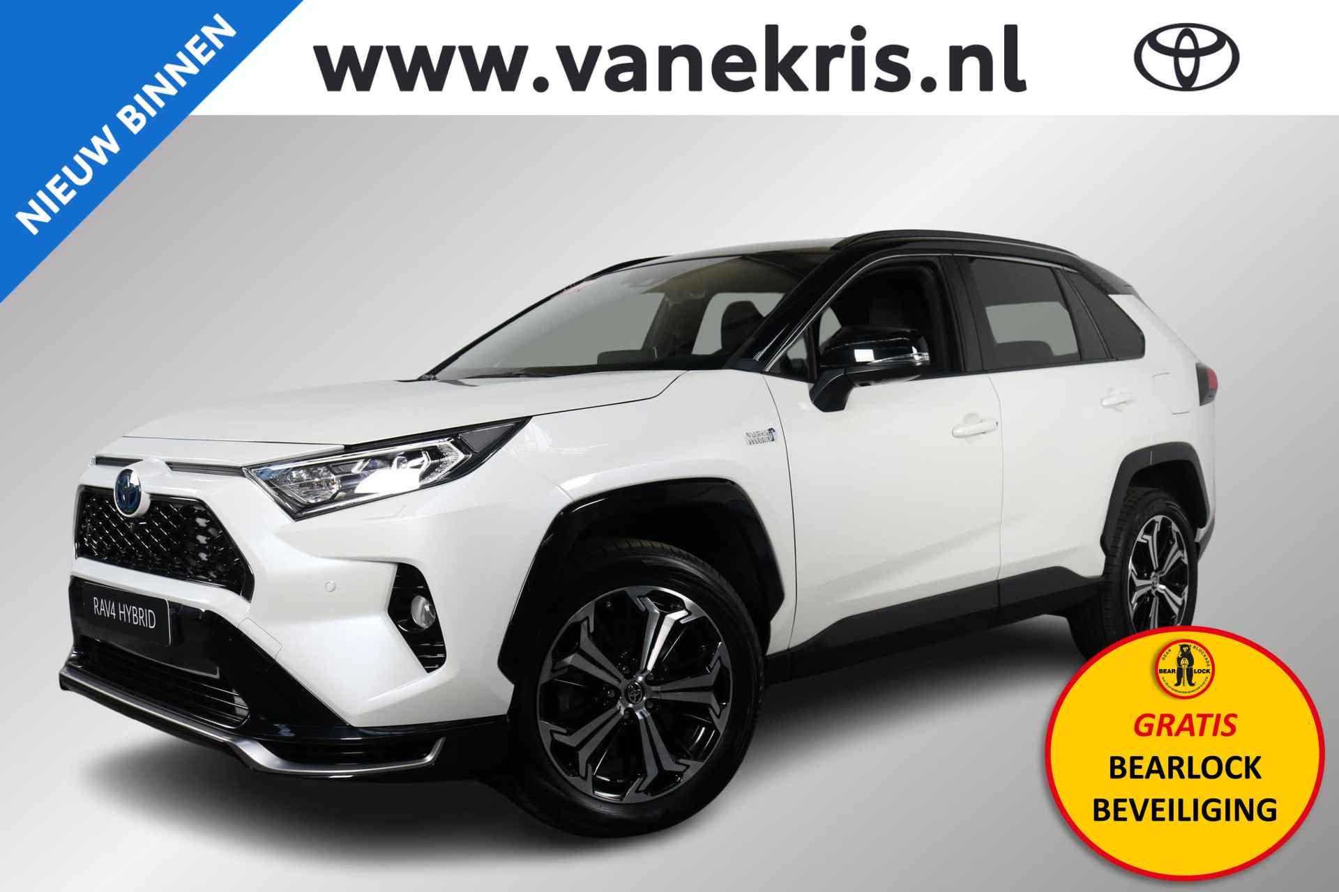 Toyota RAV4 BOVAG 40-Puntencheck