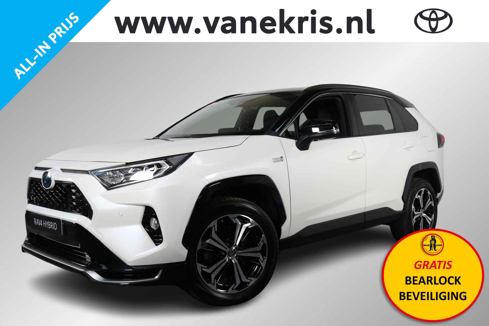 Toyota RAV4 BOVAG 40-Puntencheck