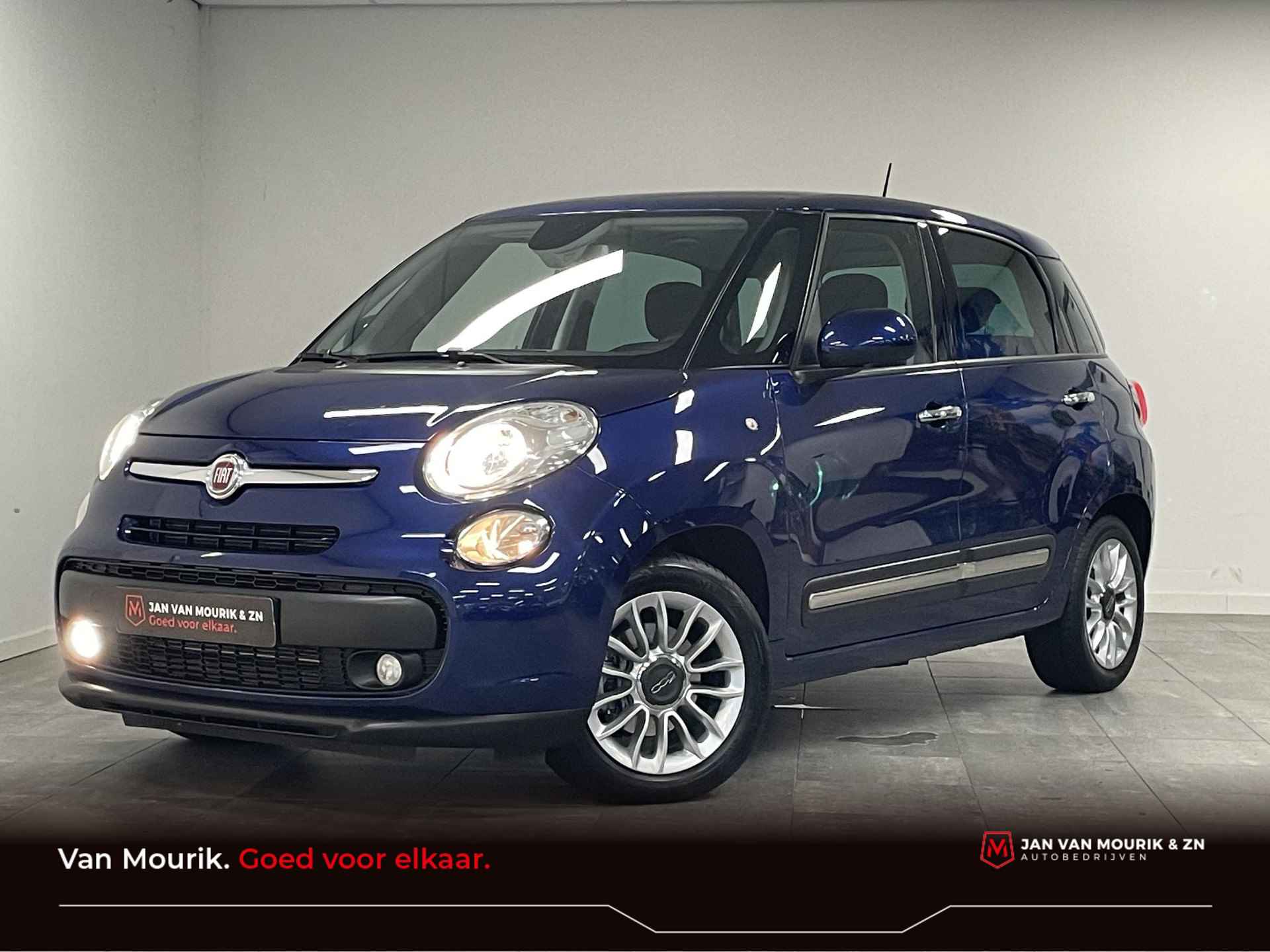 Fiat 500L BOVAG 40-Puntencheck