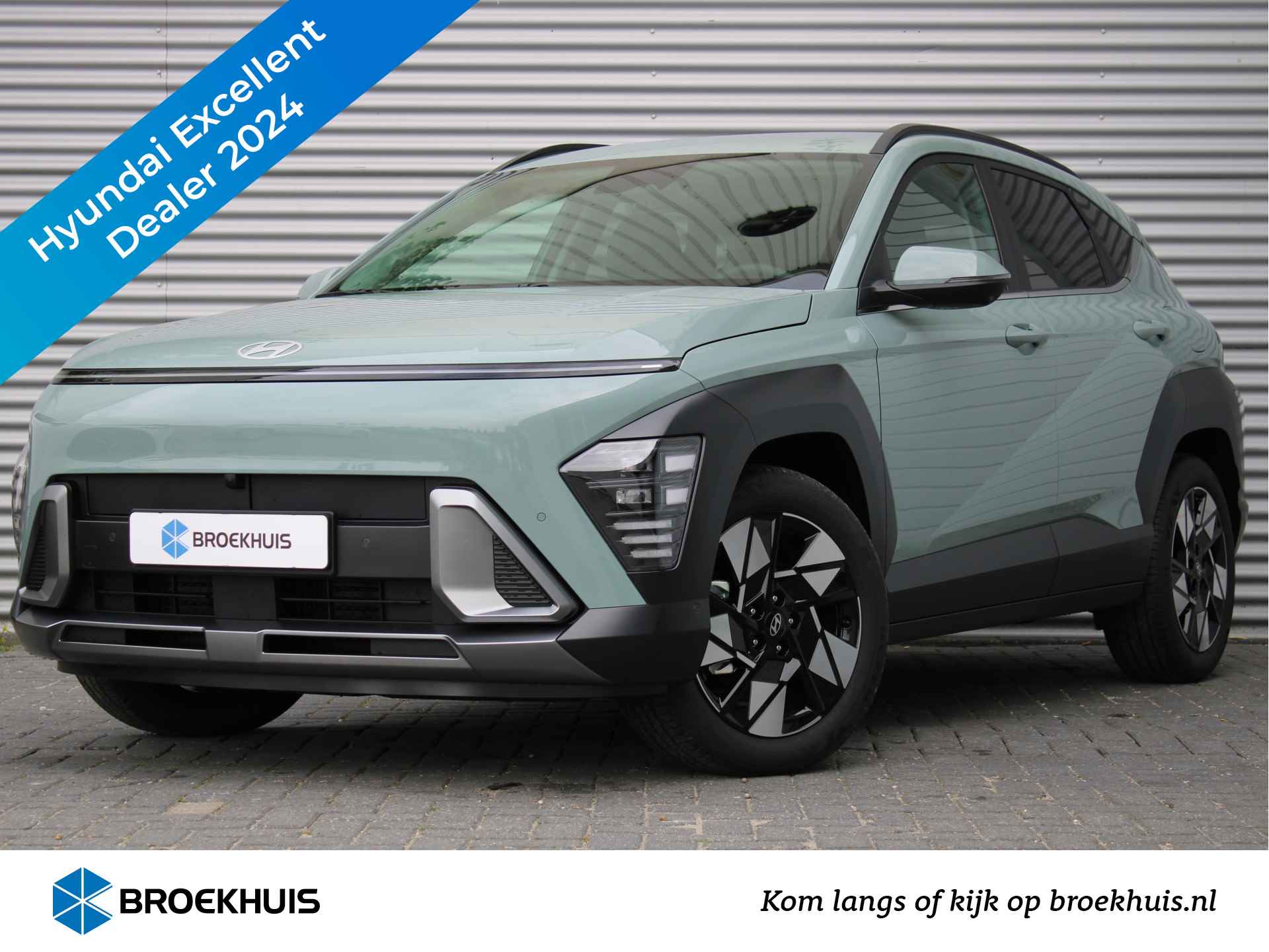 Hyundai Kona BOVAG 40-Puntencheck