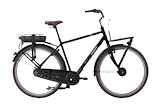 GIANT Triple X E+ 500Wh Heren Classic Black XL XL 2022