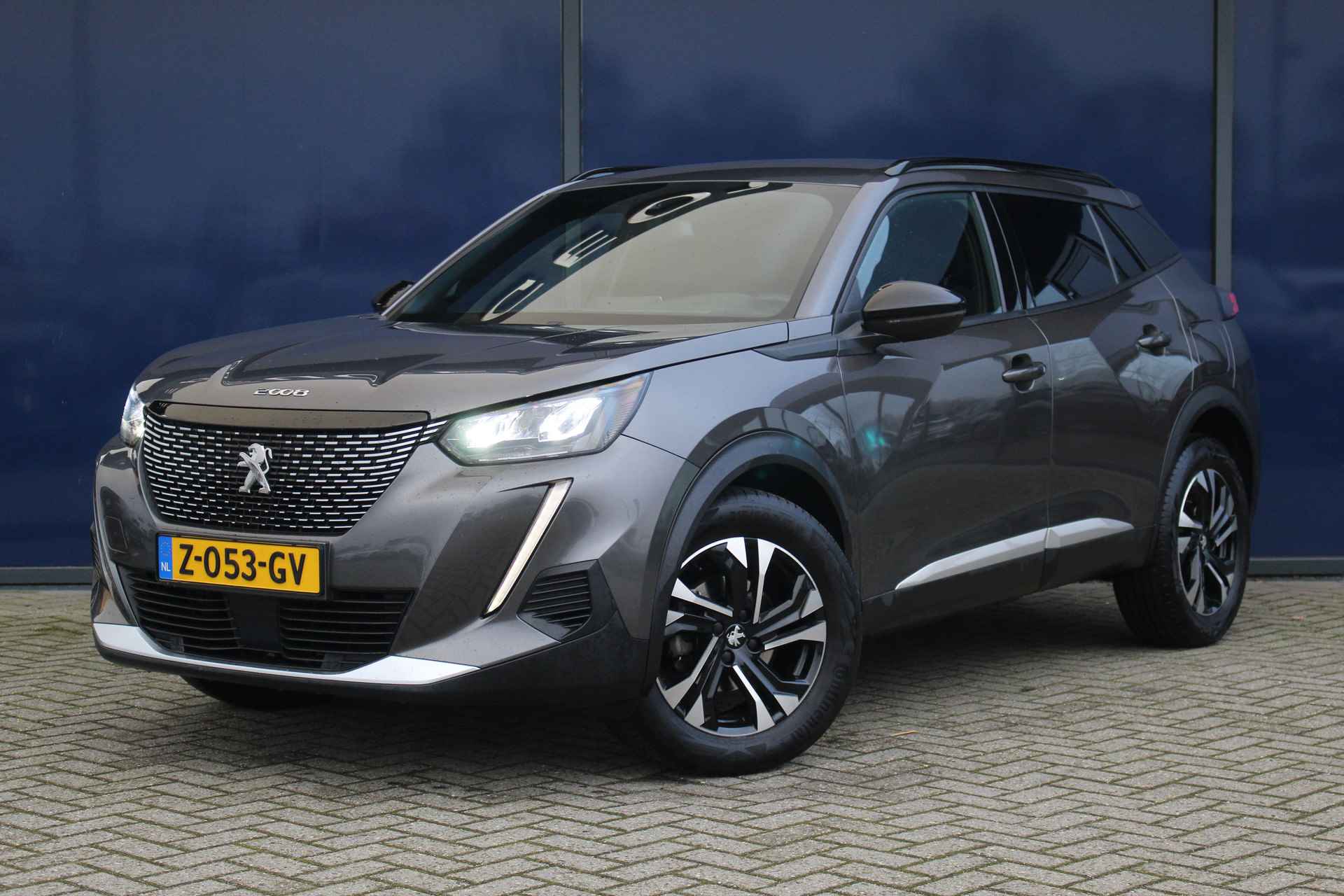 Peugeot 2008 BOVAG 40-Puntencheck