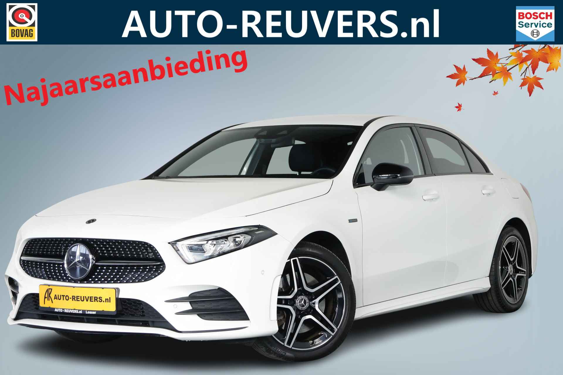 Mercedes-Benz A-Klasse BOVAG 40-Puntencheck