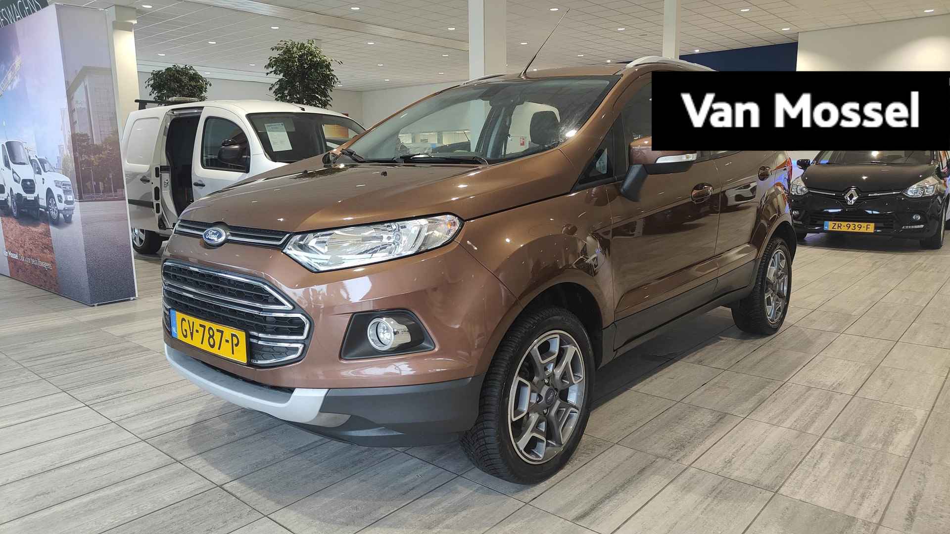 Ford EcoSport BOVAG 40-Puntencheck