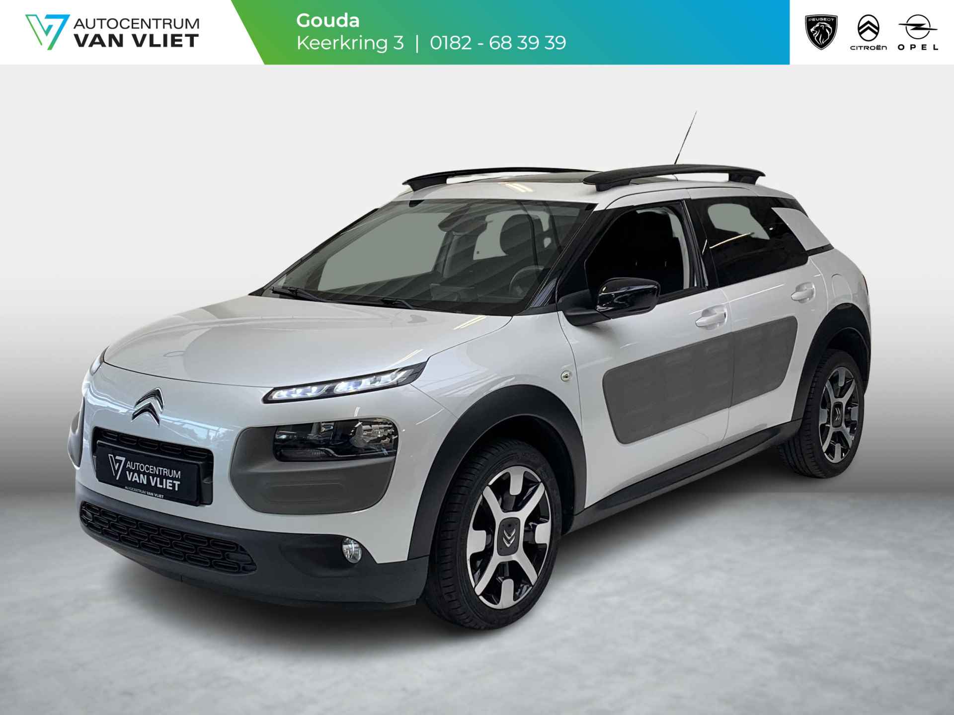 Citroën C4 Cactus BOVAG 40-Puntencheck