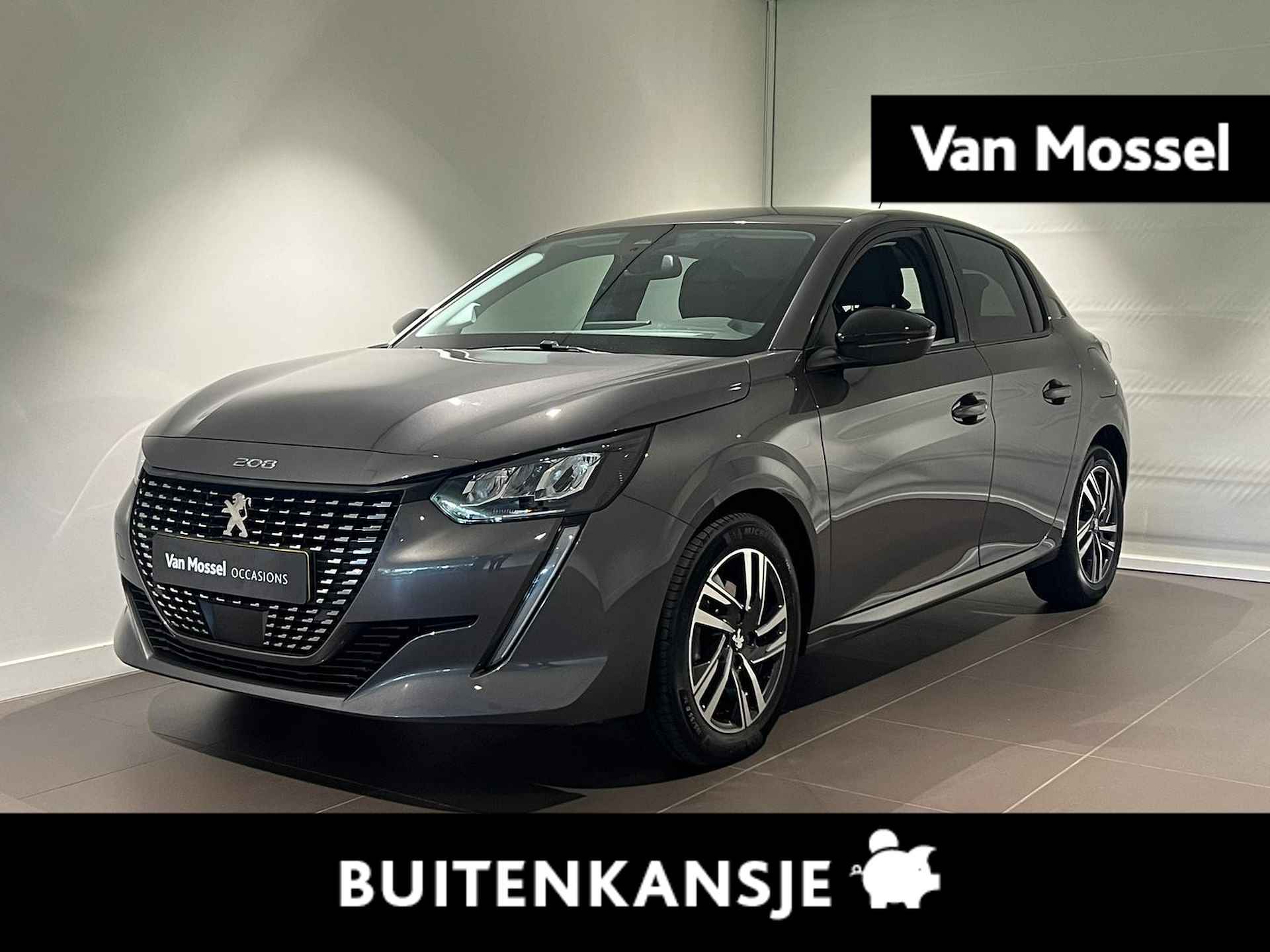 Peugeot 208 BOVAG 40-Puntencheck