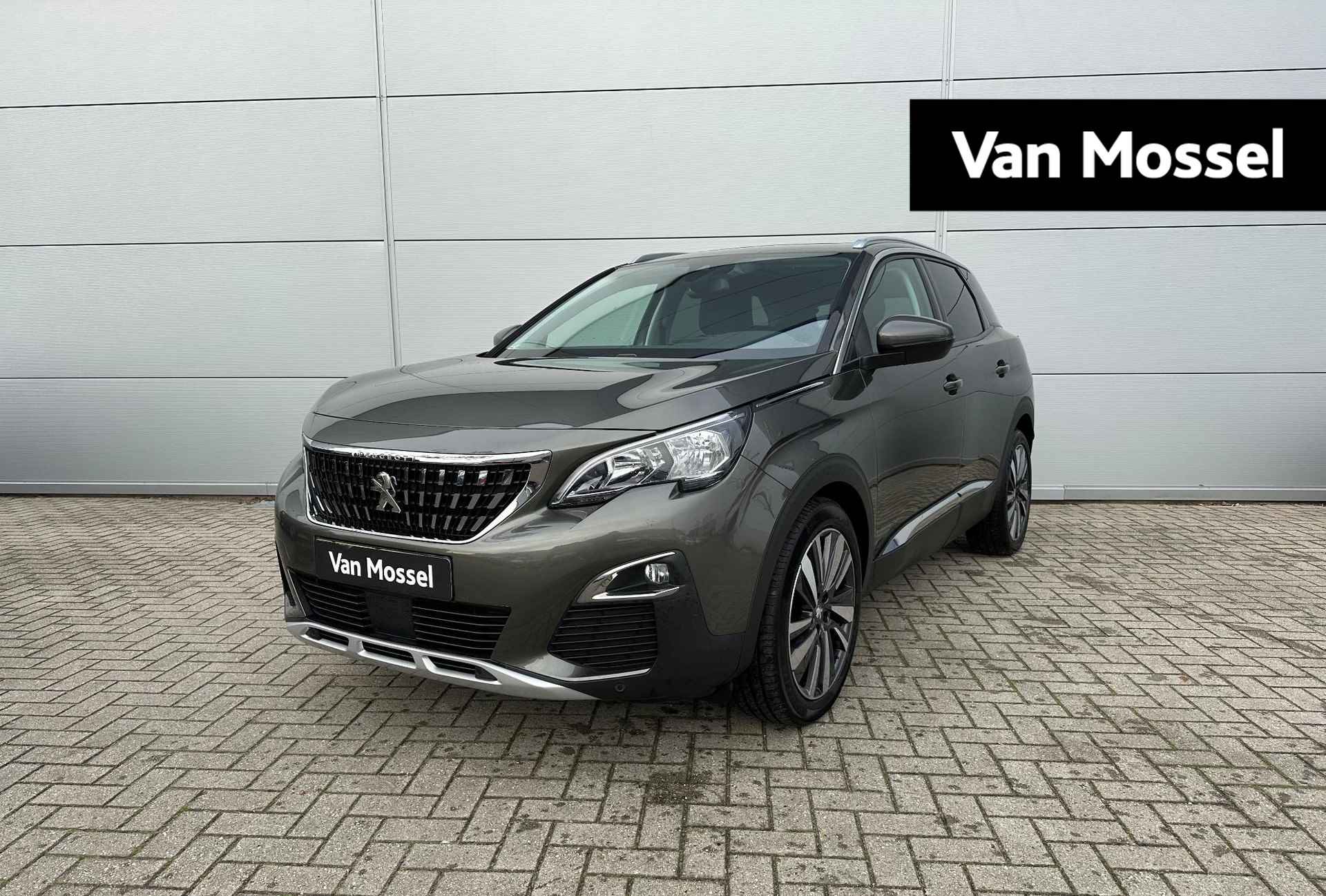 Peugeot 3008 BOVAG 40-Puntencheck