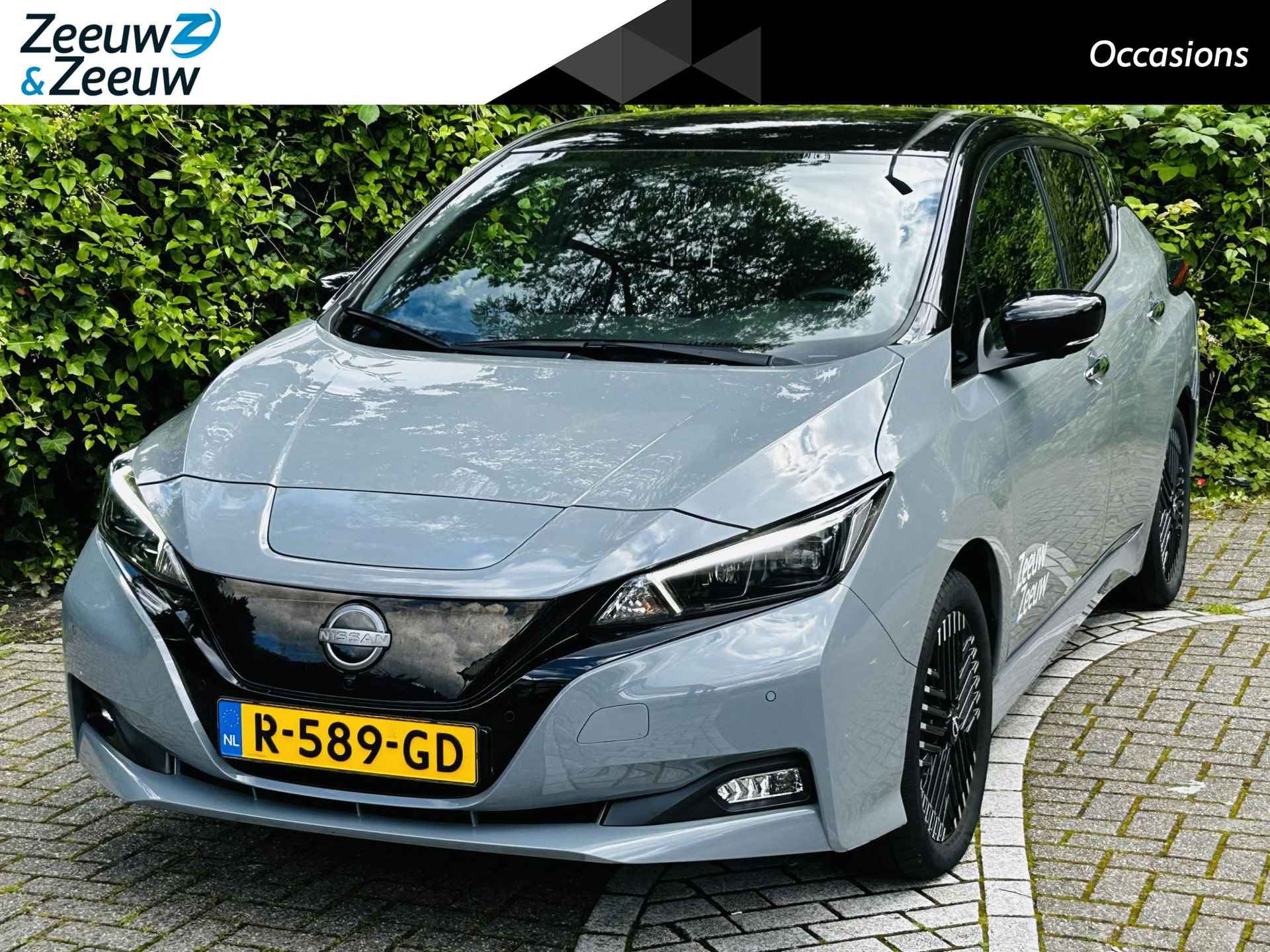 Nissan Leaf BOVAG 40-Puntencheck