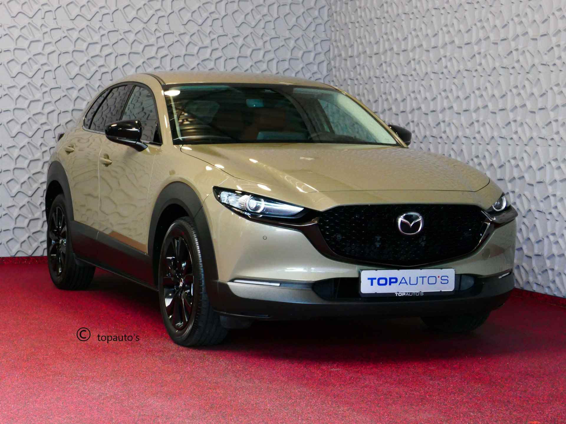 Mazda CX-30 BOVAG 40-Puntencheck