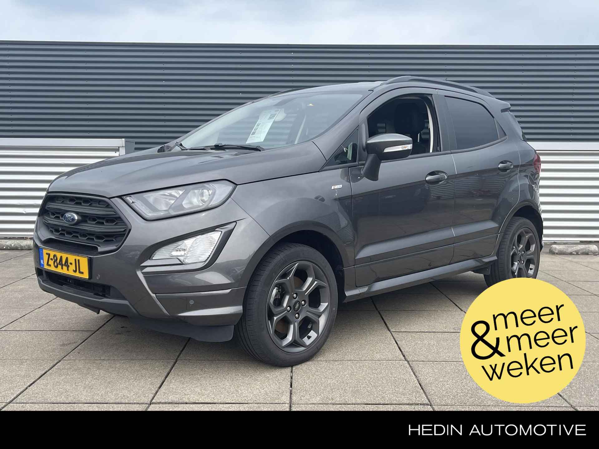 Ford EcoSport BOVAG 40-Puntencheck