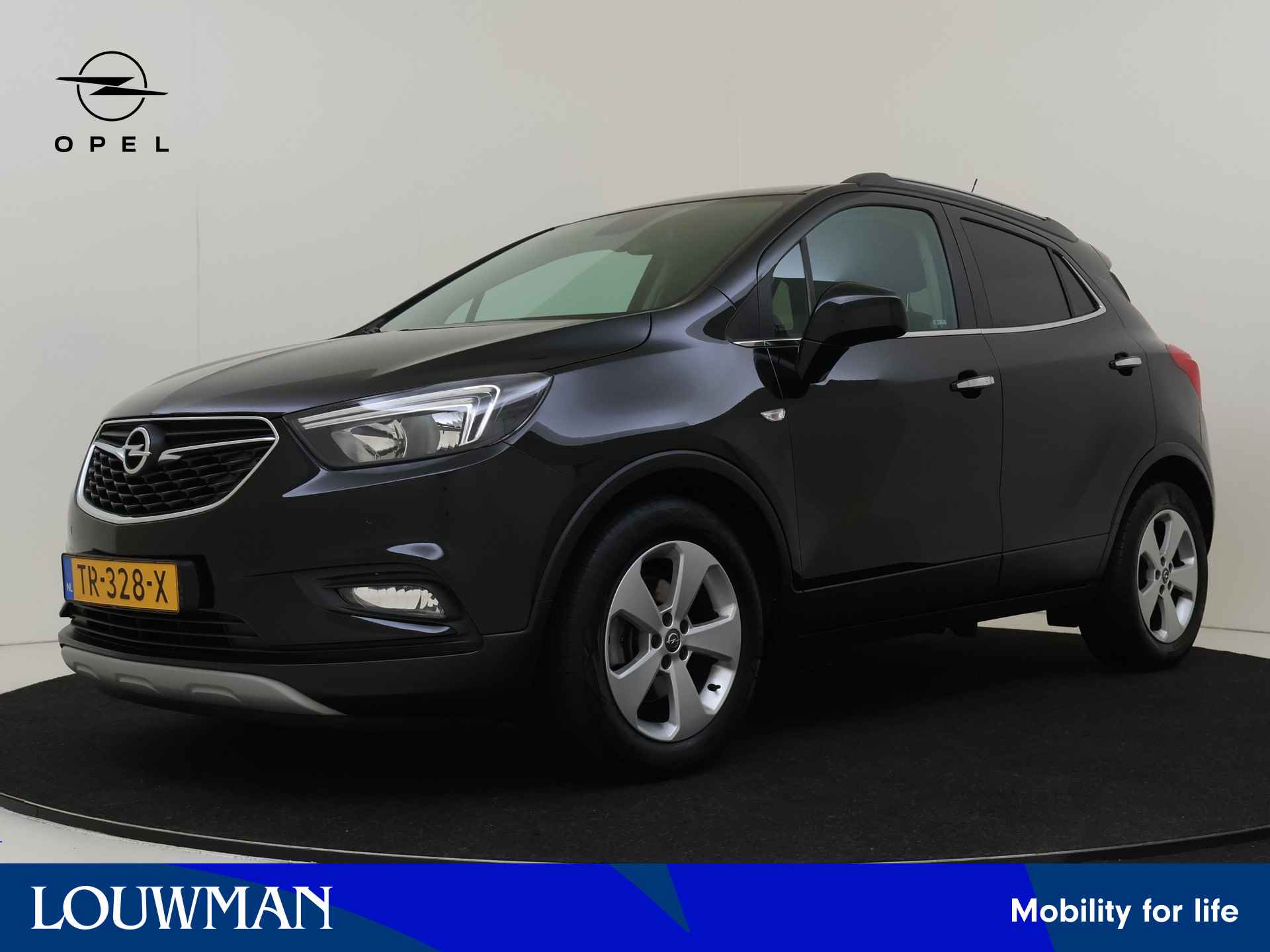 Opel Mokka X BOVAG 40-Puntencheck