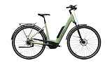 Advanced Ebike Das Original TOUR Plus Wave 45 Perf. 50 / 545 Wh / Intuvia 100 Basil Green Glossy 45cm 2024