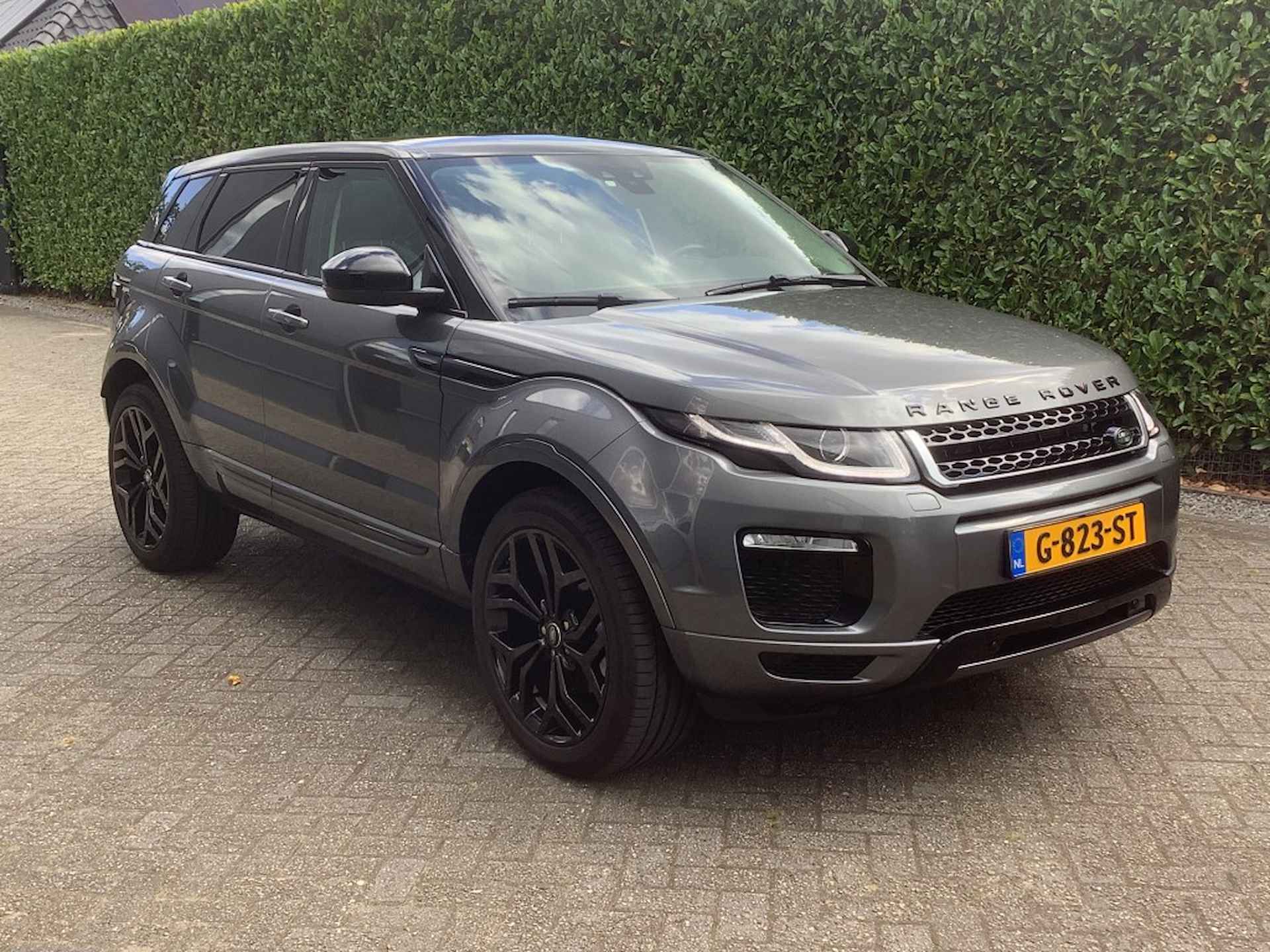 LAND ROVER Range Rover Evoque 2.0 Si4 SE Dynamic I leder I panoramadak - 9/22