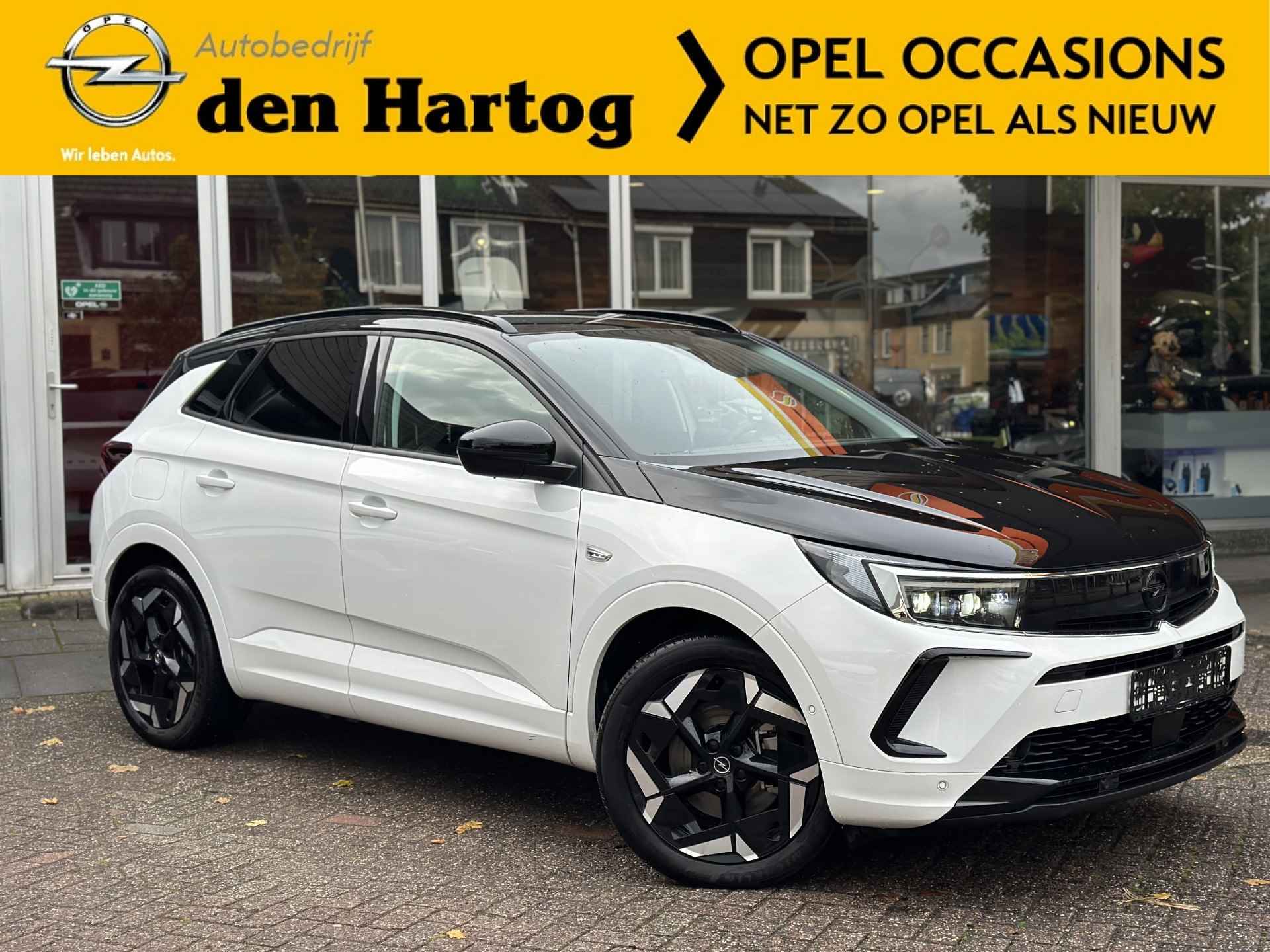 Opel Grandland X BOVAG 40-Puntencheck