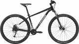 CANNONDALE 29 M Trail 7 BLK LG (x) Heren Blk Lg LG 2021