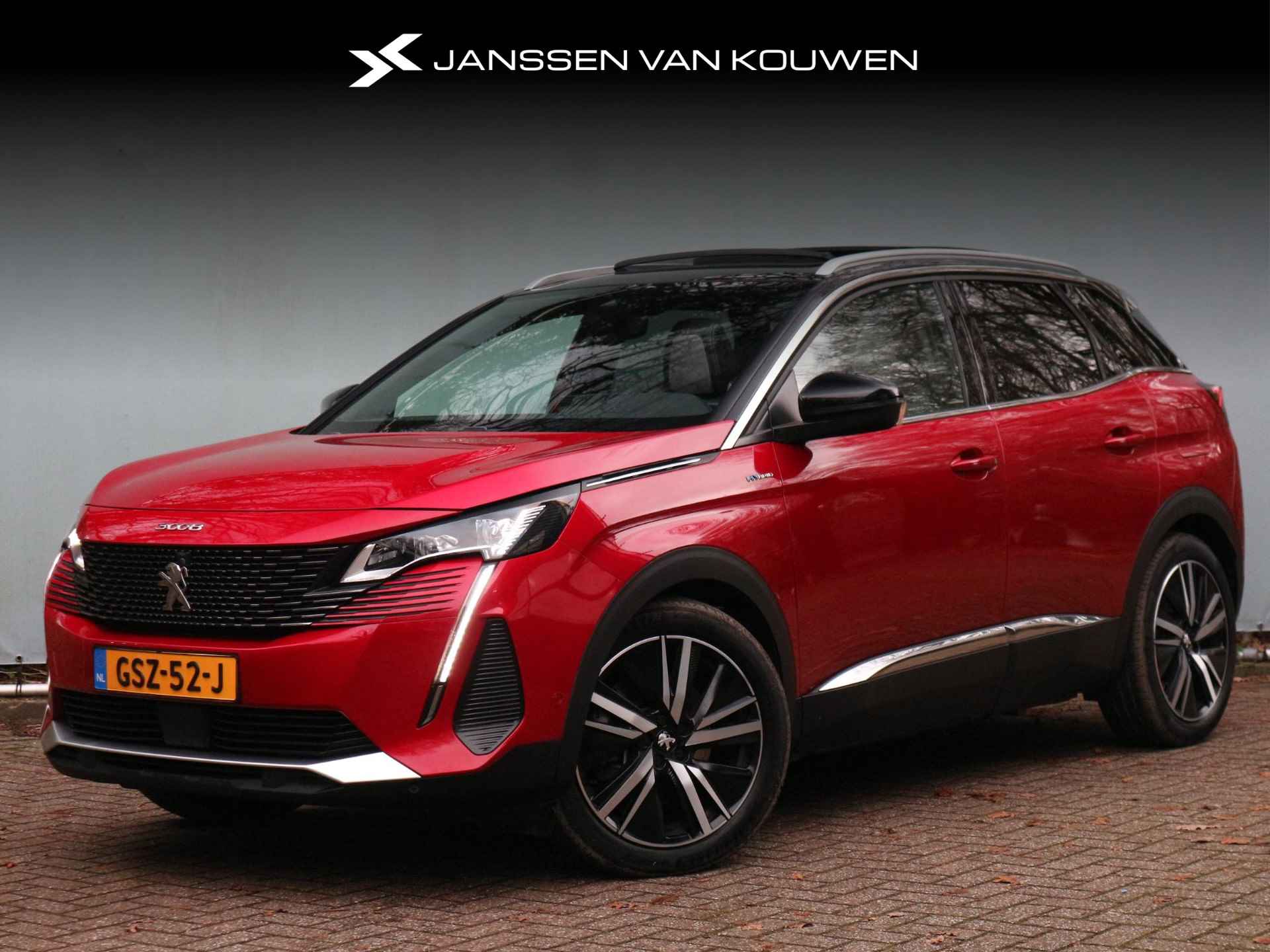 Peugeot 3008 BOVAG 40-Puntencheck