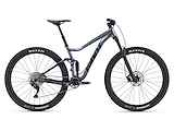 GIANT Stance 2 29er Heren Knight Shield XL XL 2022