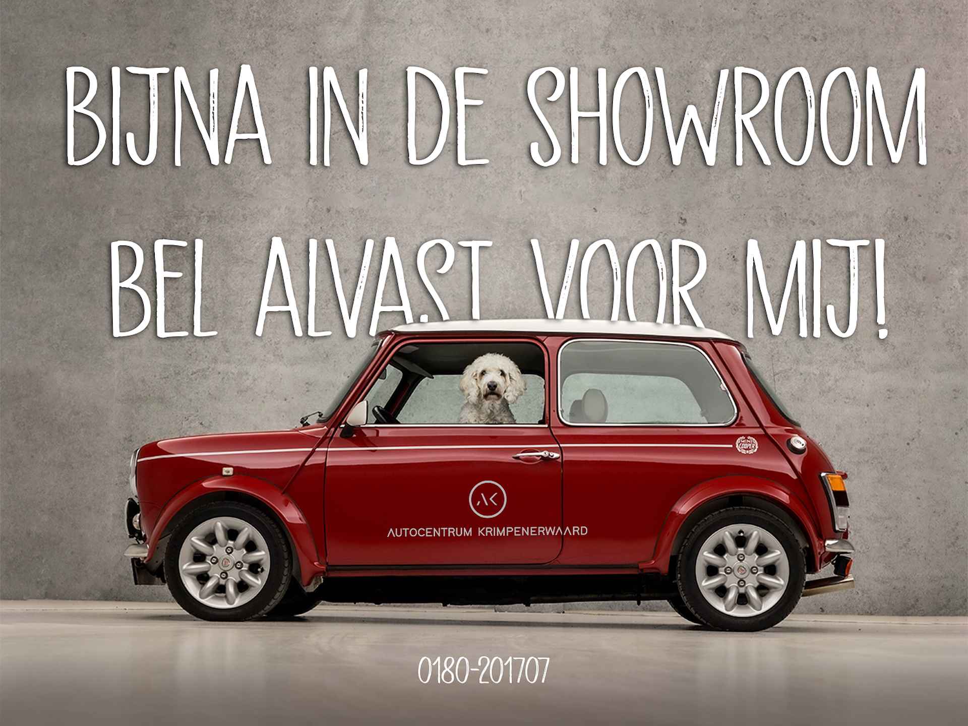 Fiat 500C BOVAG 40-Puntencheck