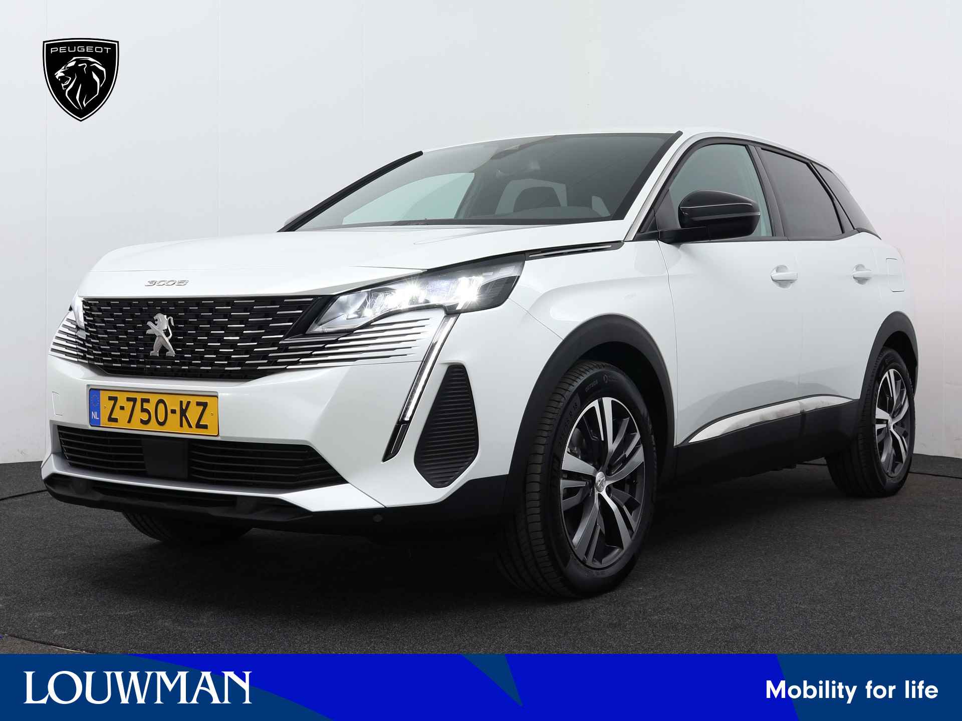 Peugeot 3008 BOVAG 40-Puntencheck