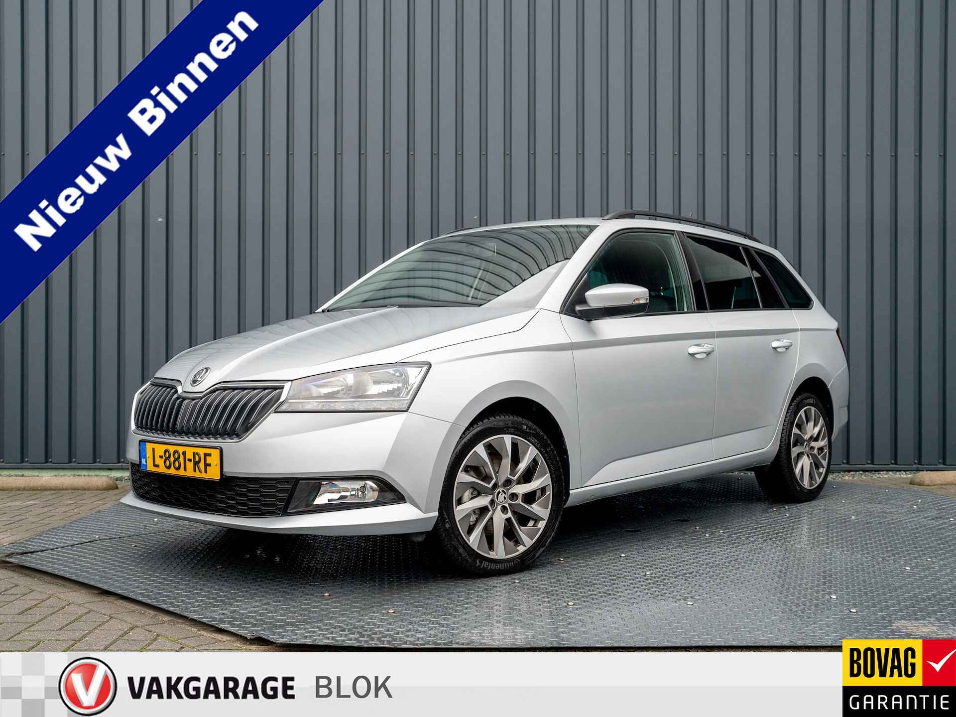 Škoda Fabia BOVAG 40-Puntencheck