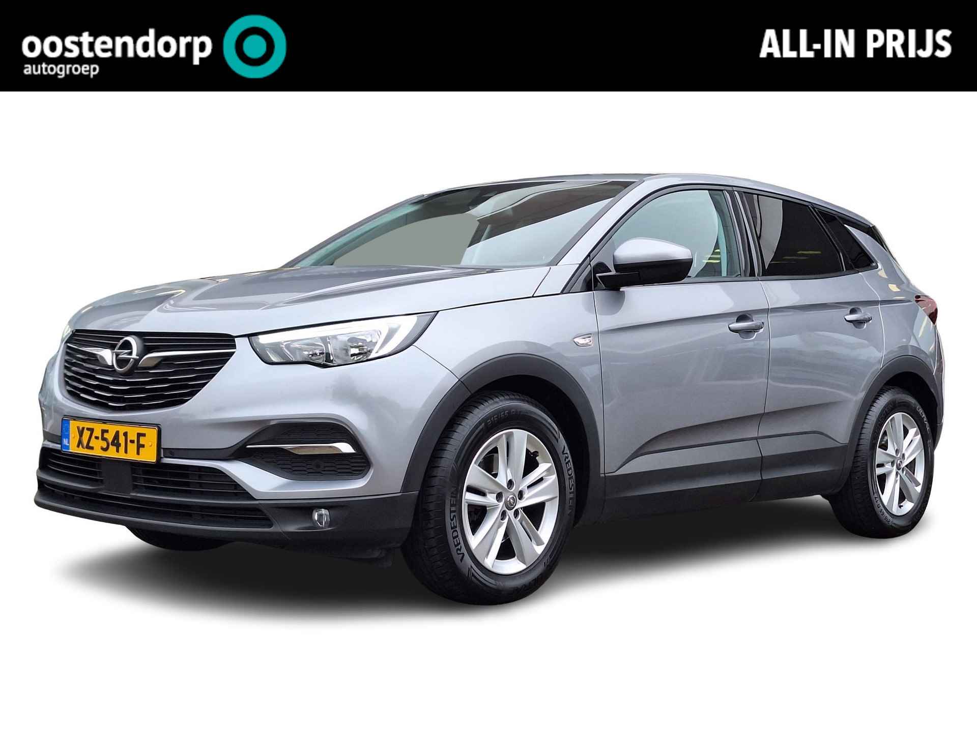 Opel Grandland X BOVAG 40-Puntencheck