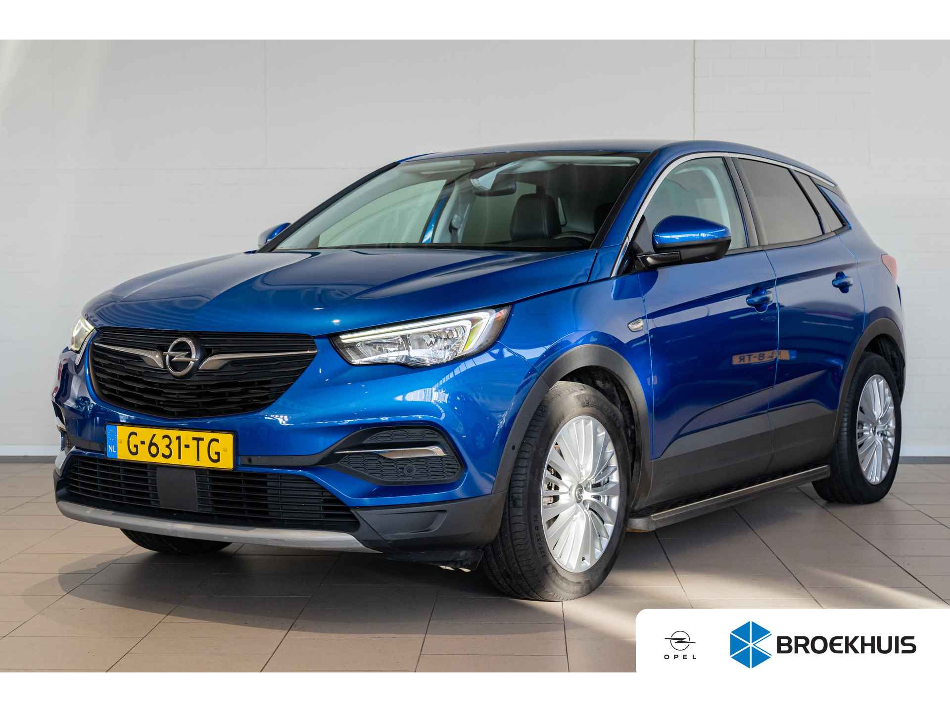 Opel Grandland X BOVAG 40-Puntencheck