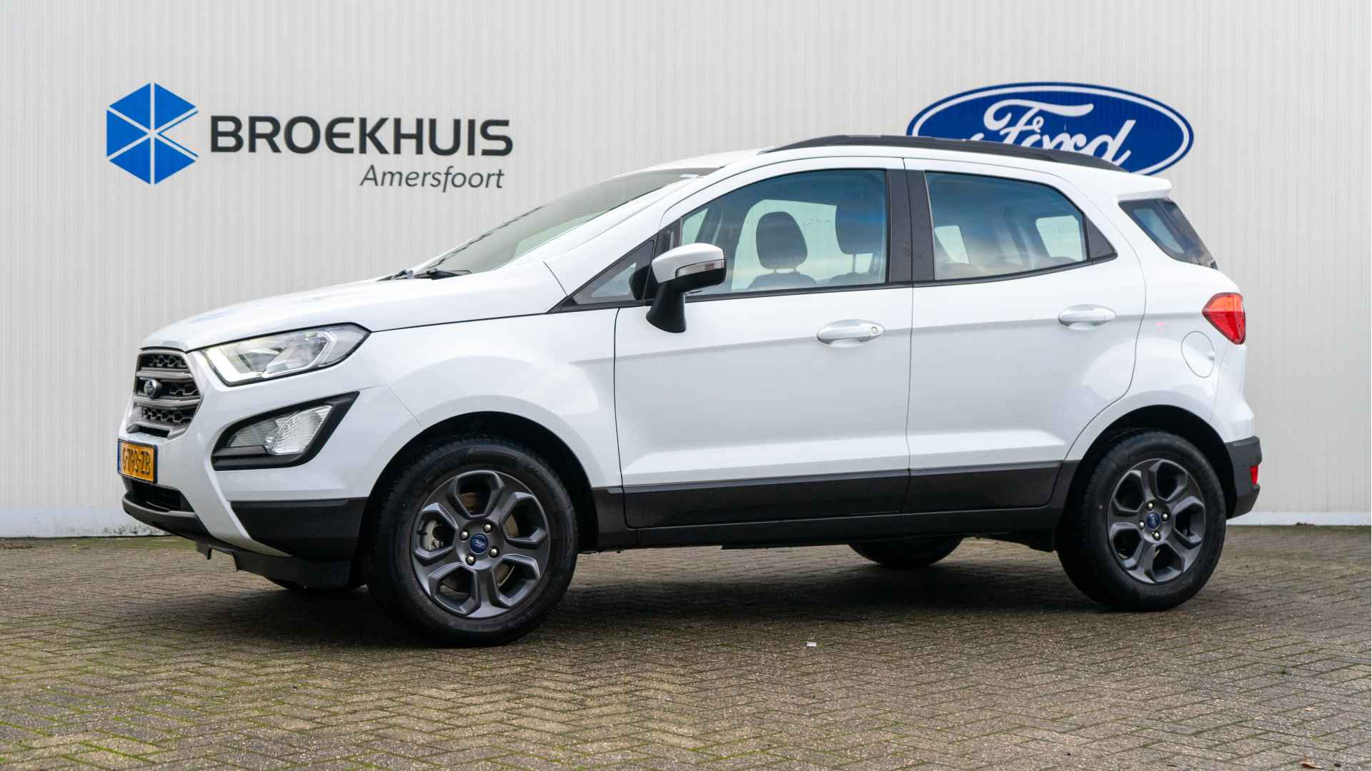 Ford EcoSport BOVAG 40-Puntencheck