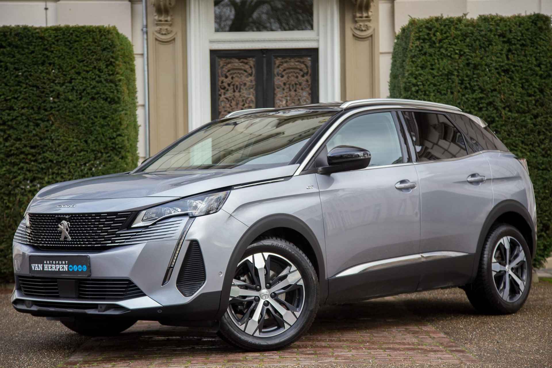 Peugeot 3008 BOVAG 40-Puntencheck