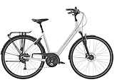 TREK Verve 3 Equipped Lowstep DS27 Dames Quicksilver L 55cm L 2023