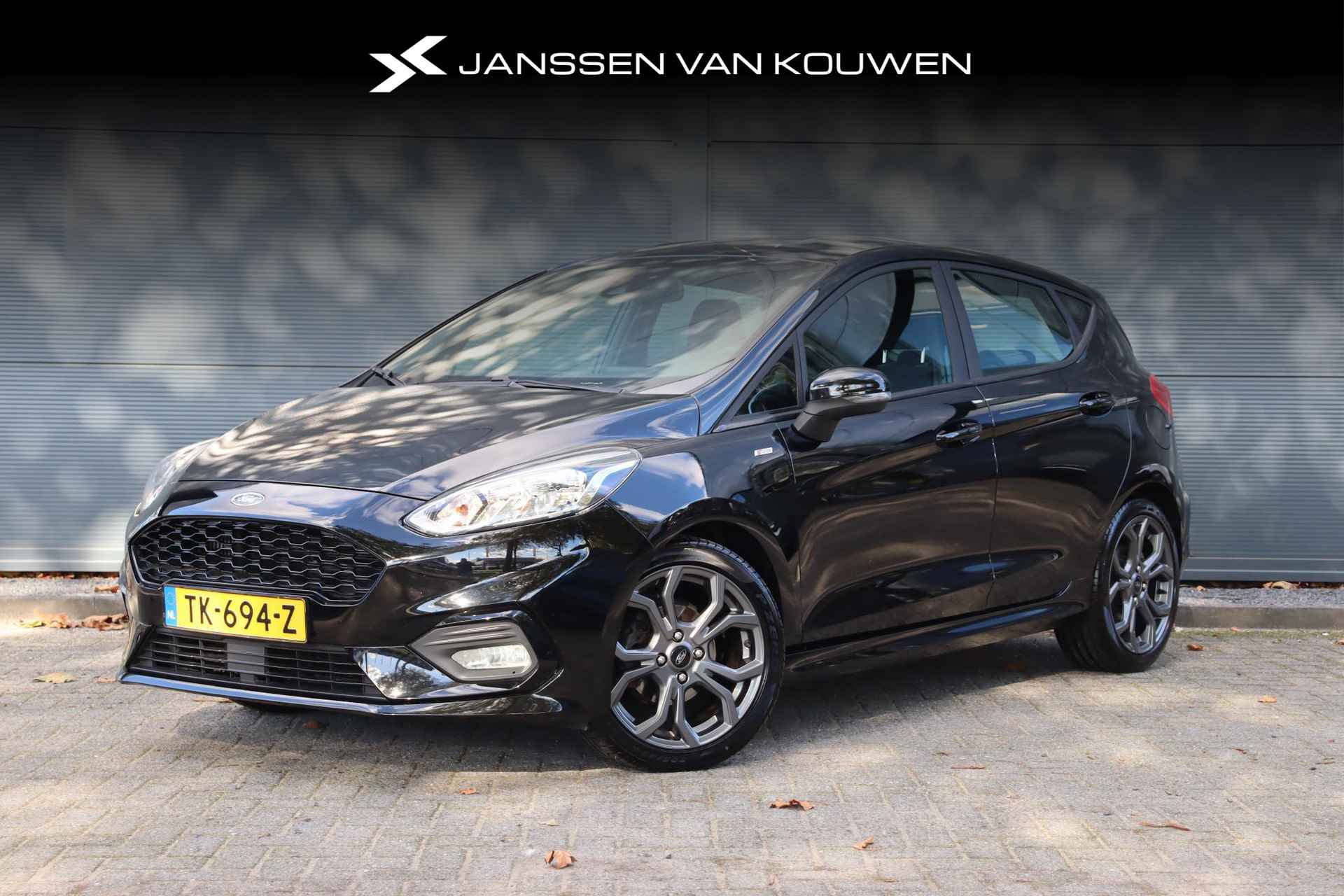 Ford Fiesta BOVAG 40-Puntencheck