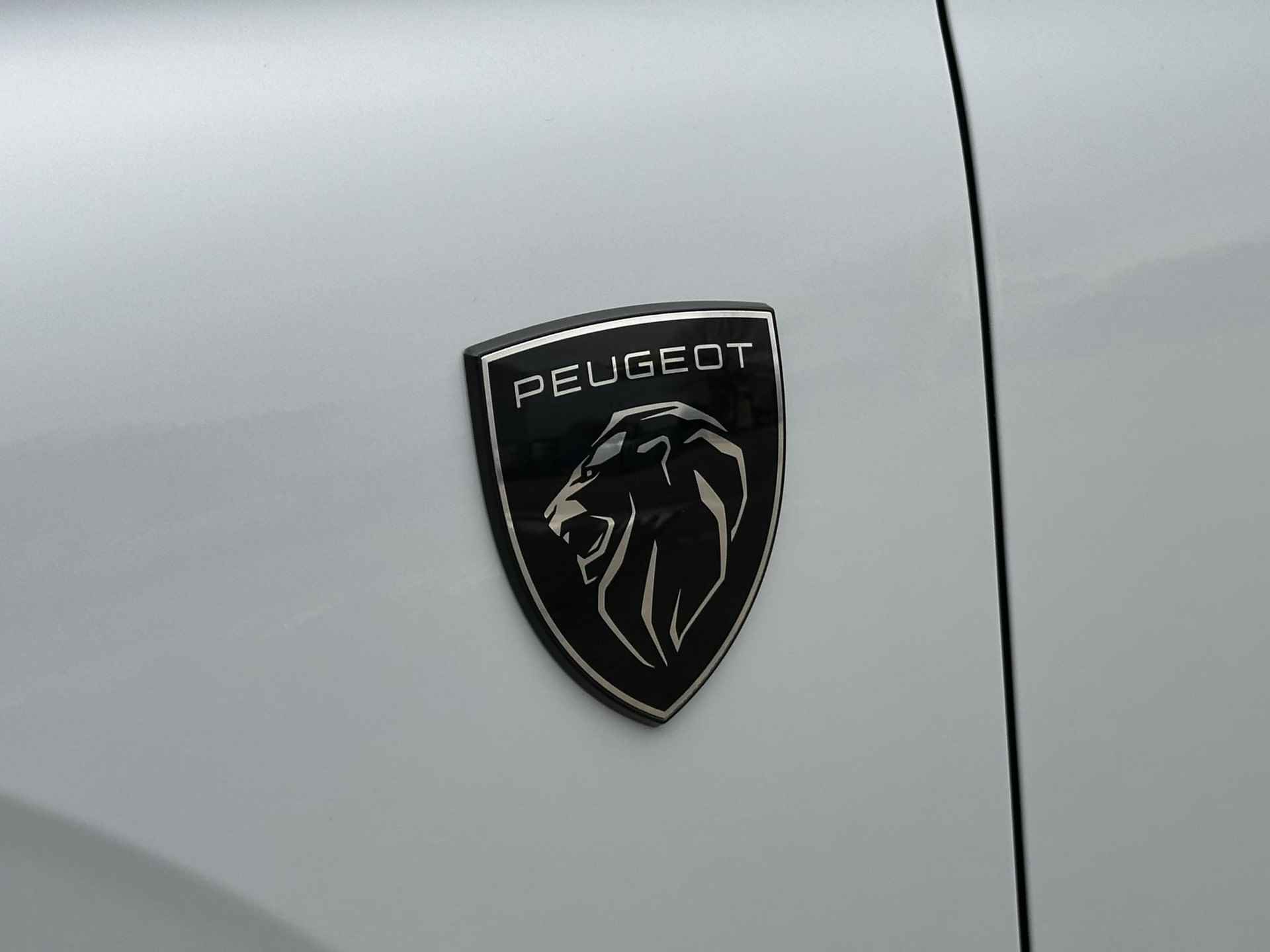 Peugeot e-308 EV GT First Edition 54 kWh - 30/41