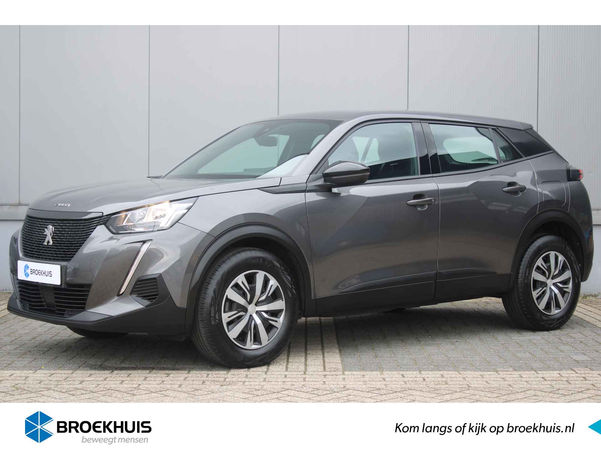 Peugeot 2008 BOVAG 40-Puntencheck