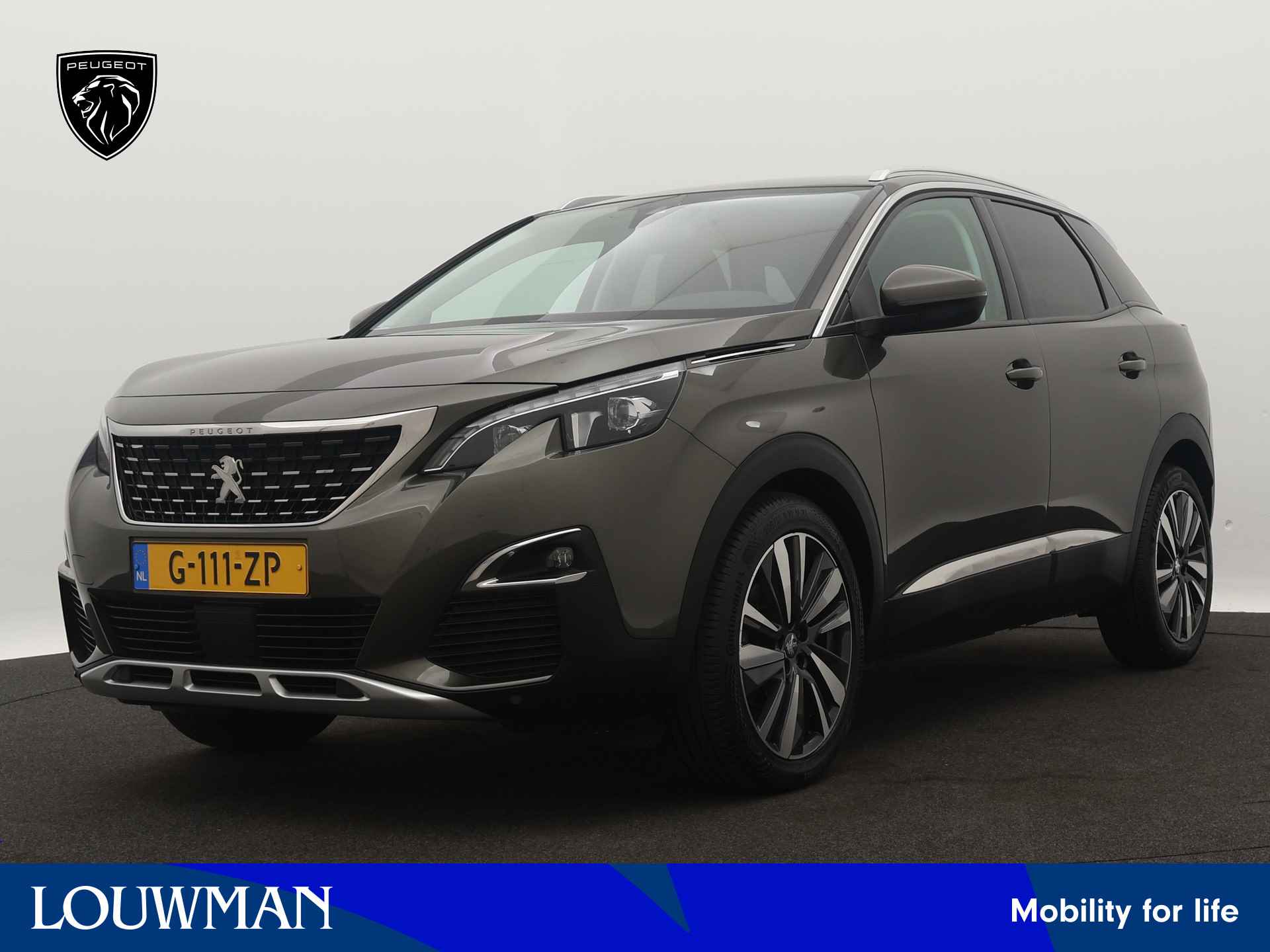 Peugeot 3008 BOVAG 40-Puntencheck