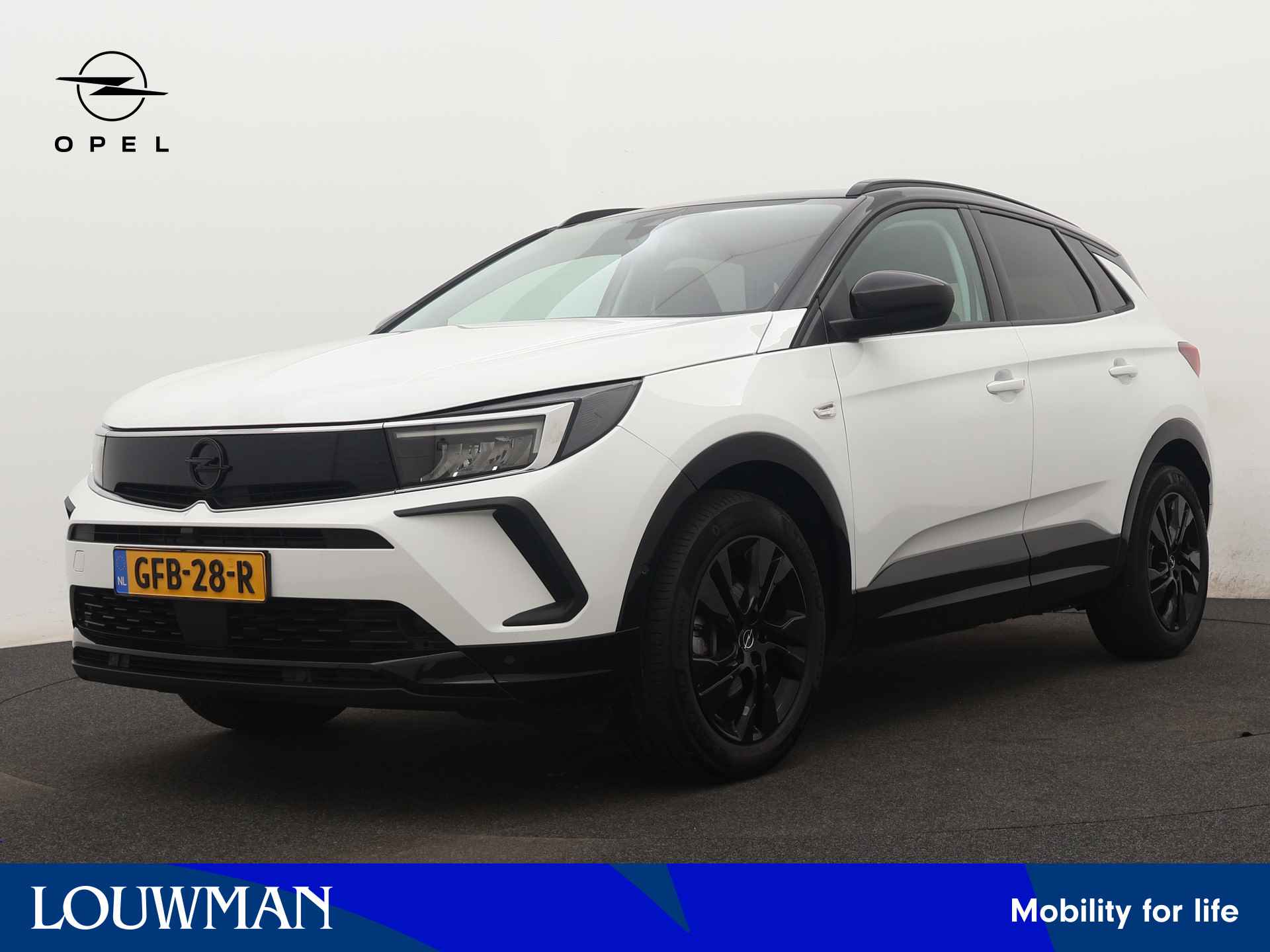 Opel Grandland X BOVAG 40-Puntencheck