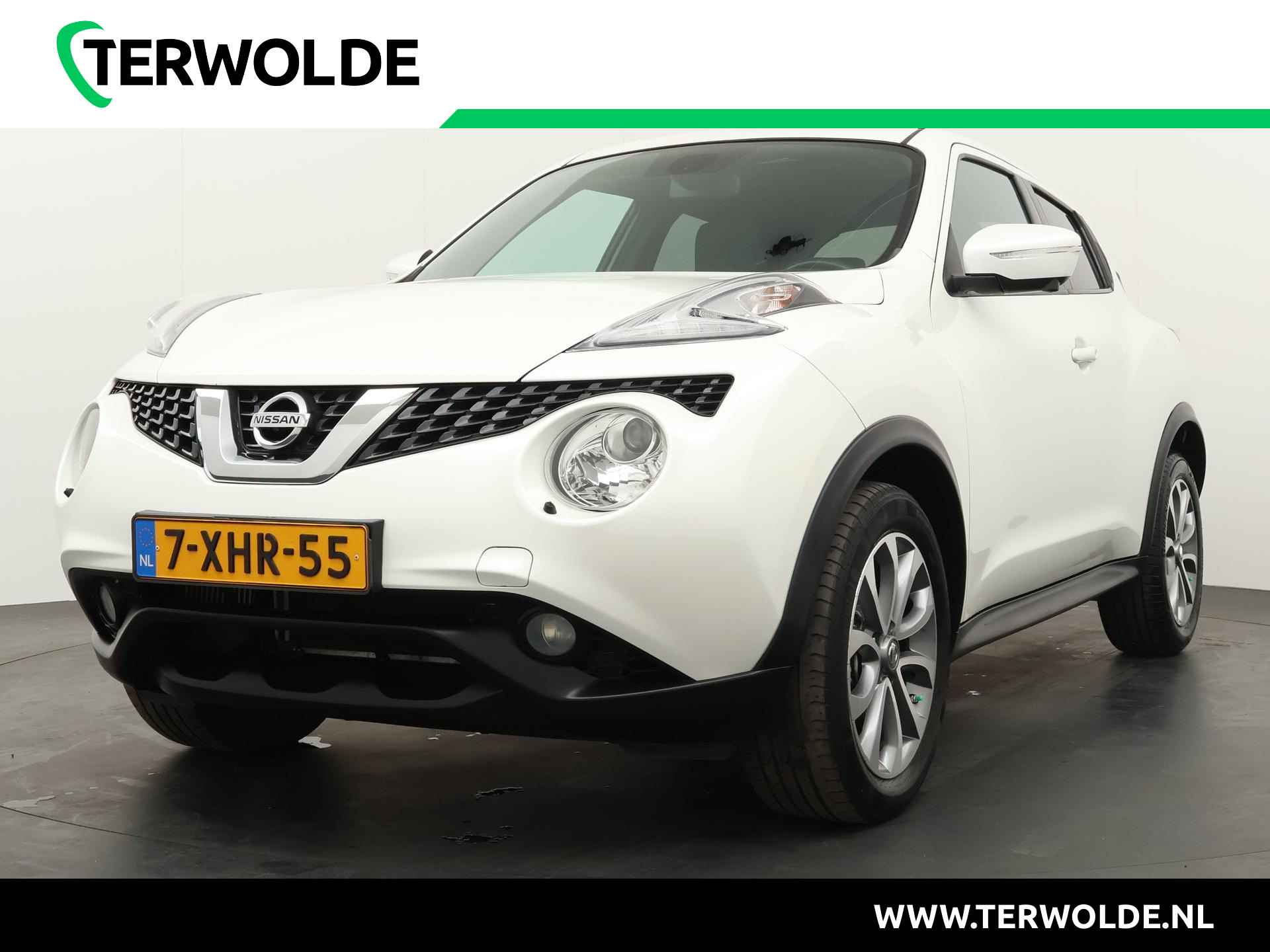 Nissan Juke BOVAG 40-Puntencheck